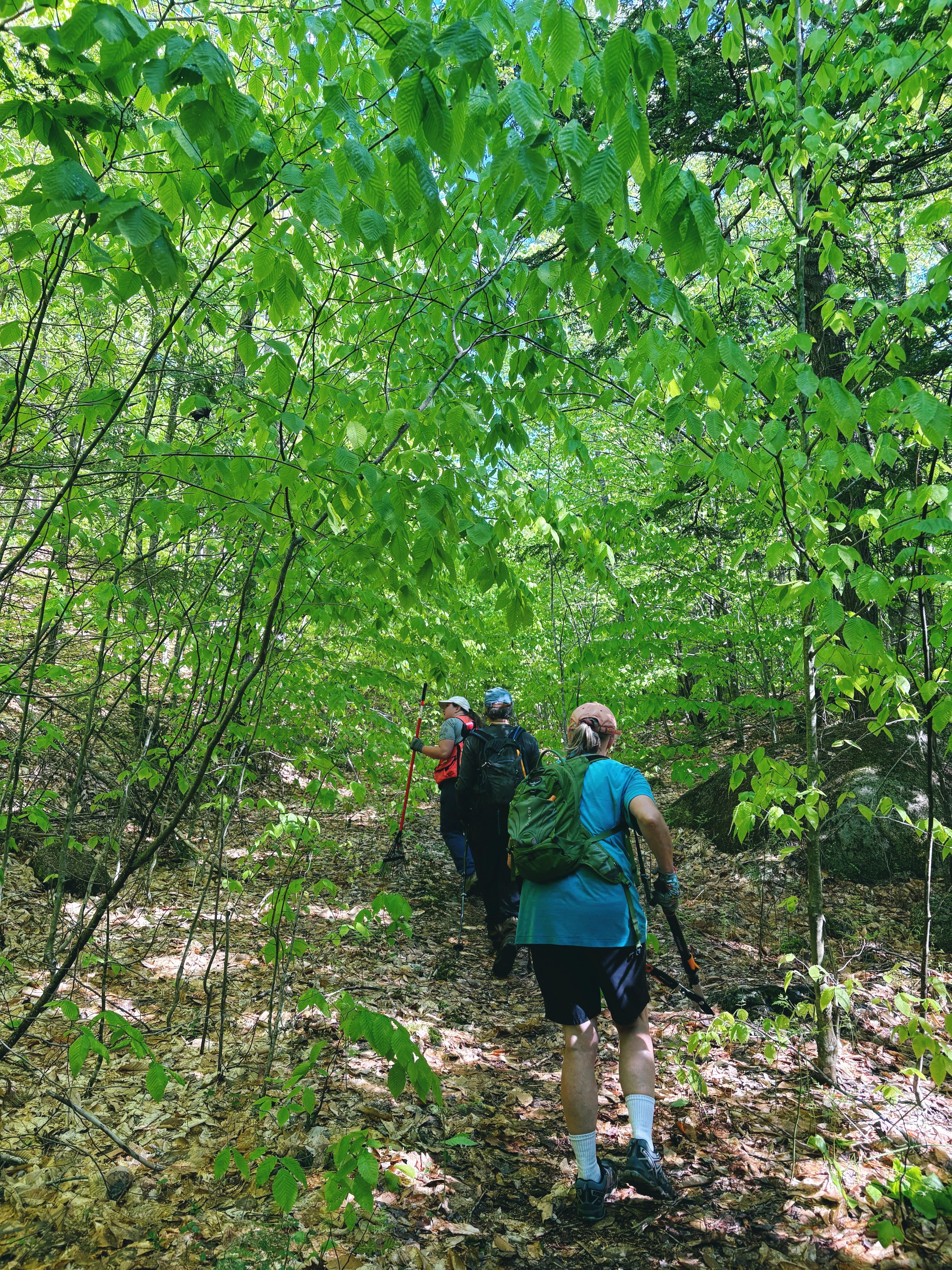 Thurley Preserve Spring Clean-Up