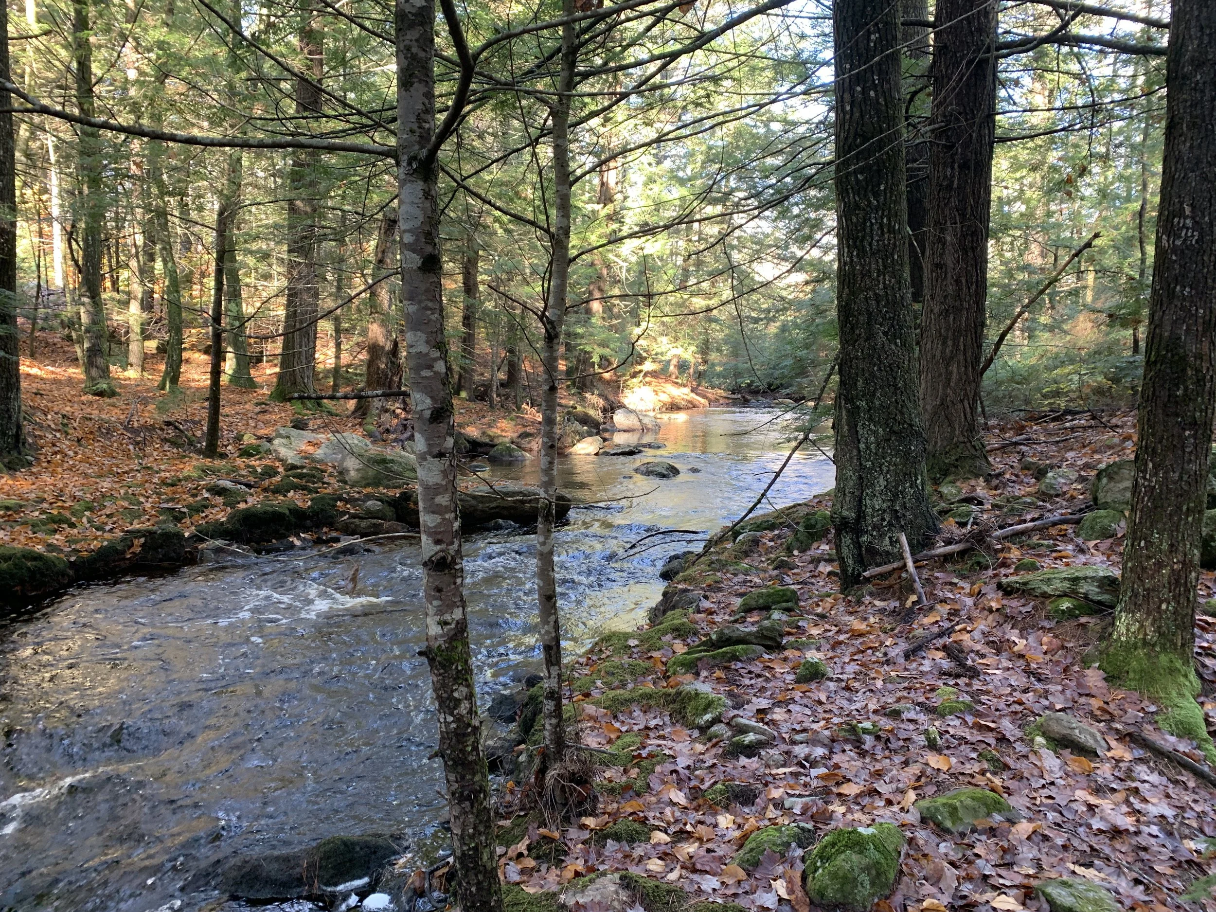 Meet the Landowner