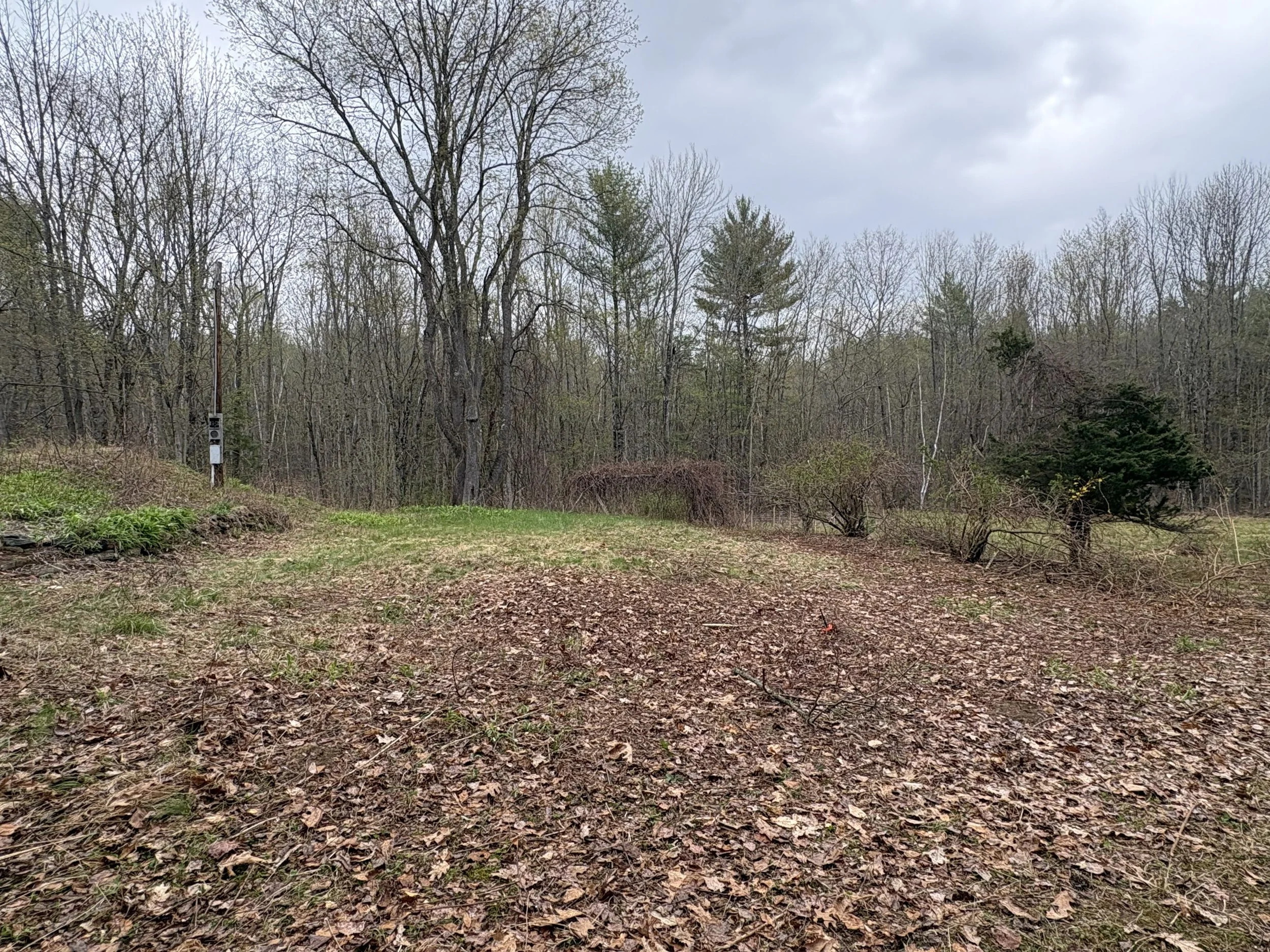 After photo of field section