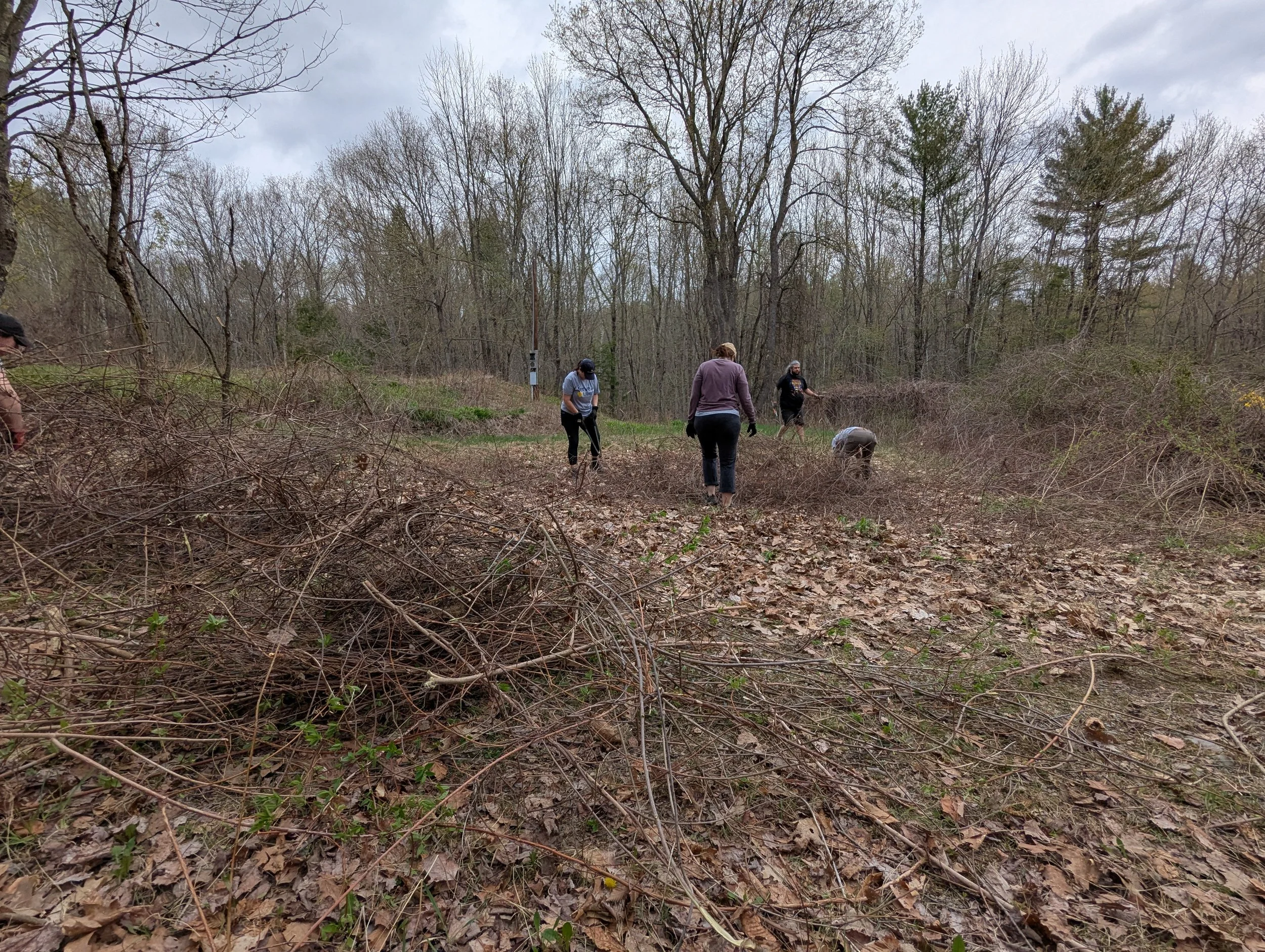  Everyone Hard at Work - Photo by Kelly Robidas 