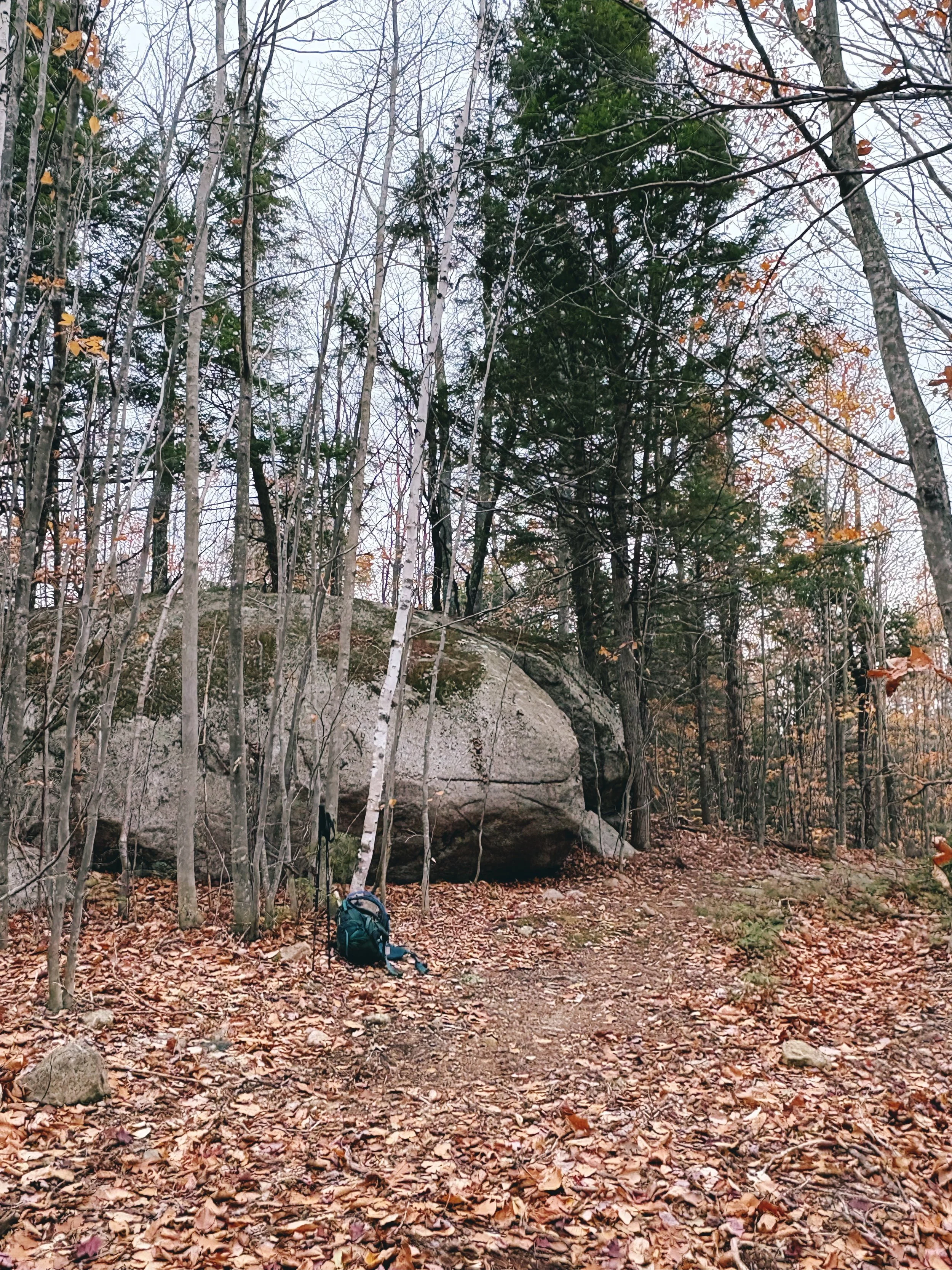 Thurley Mountain Preserve Fall Clean Up