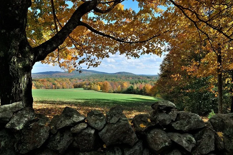 Leary Field & Forest Fall Clean Up