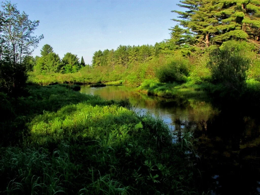 Charles C. Norman Munroe Preserve