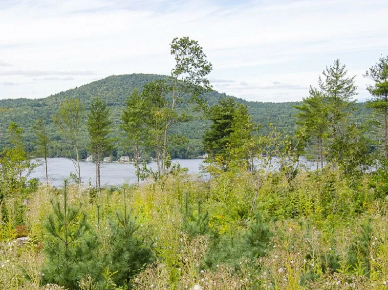 Merrymeeting-Lake-from-Birch-Ridge-Community-Forest-cropped-Stephanie-Thornton.jpg