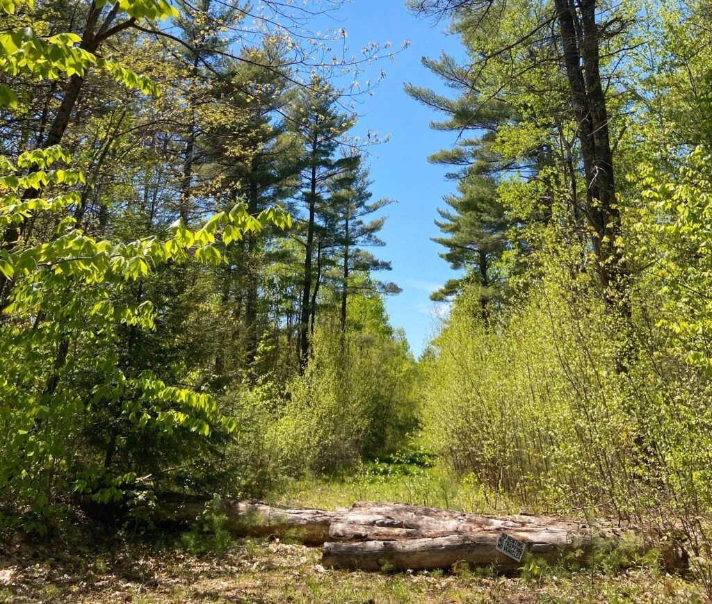 Split-Rock-Conservation-Area-2-cropped-for-website-1024x869.jpeg