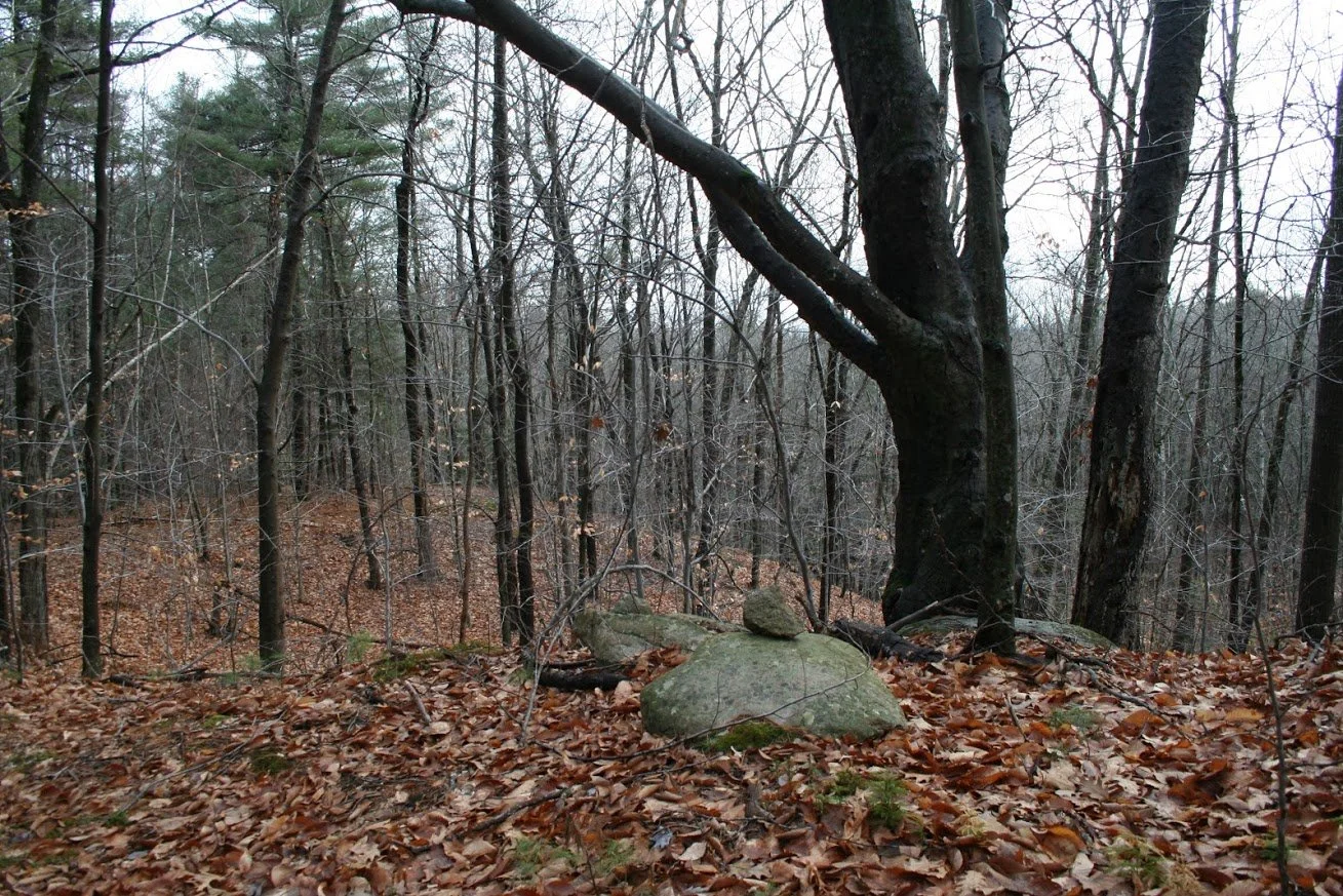 nute-woods-rocks-and-view-behind-for-newsletter.jpg