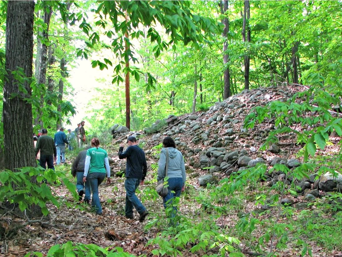 Forest Management Walk with Tim Nolin