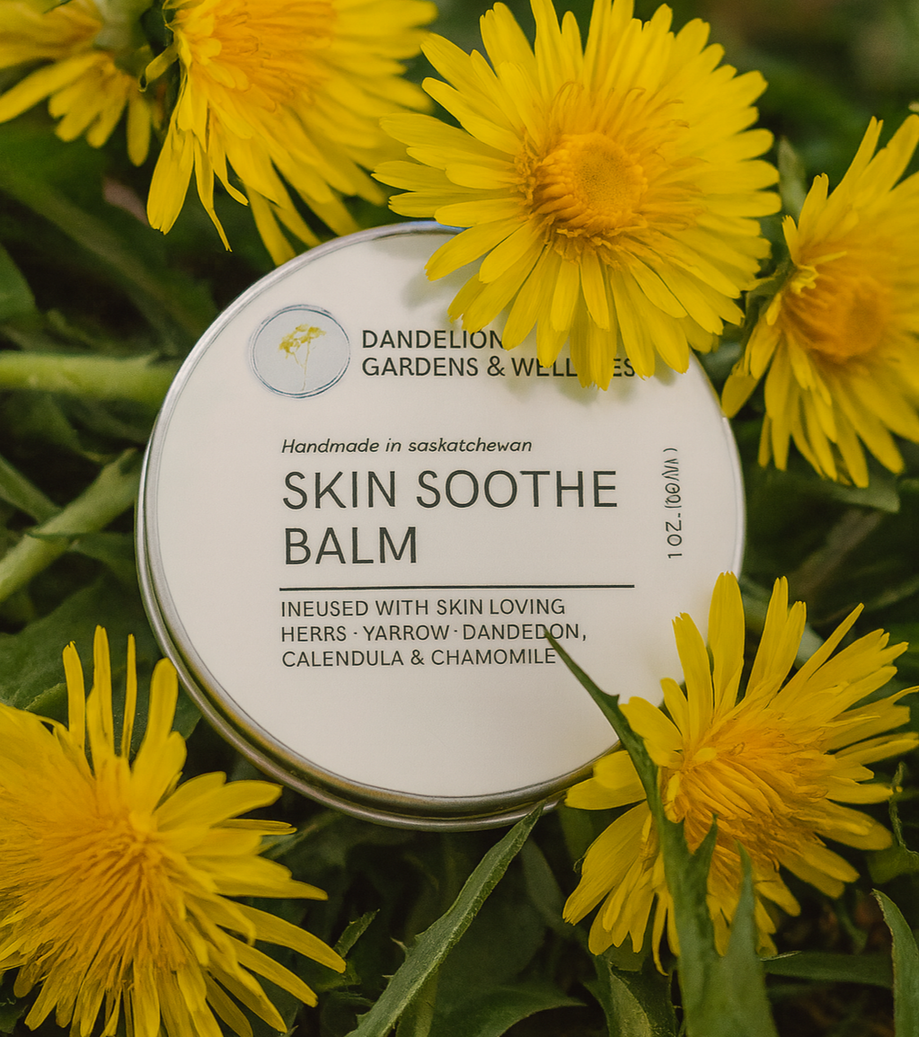 Skin+Soothe+Balm+with+Dandelions.png