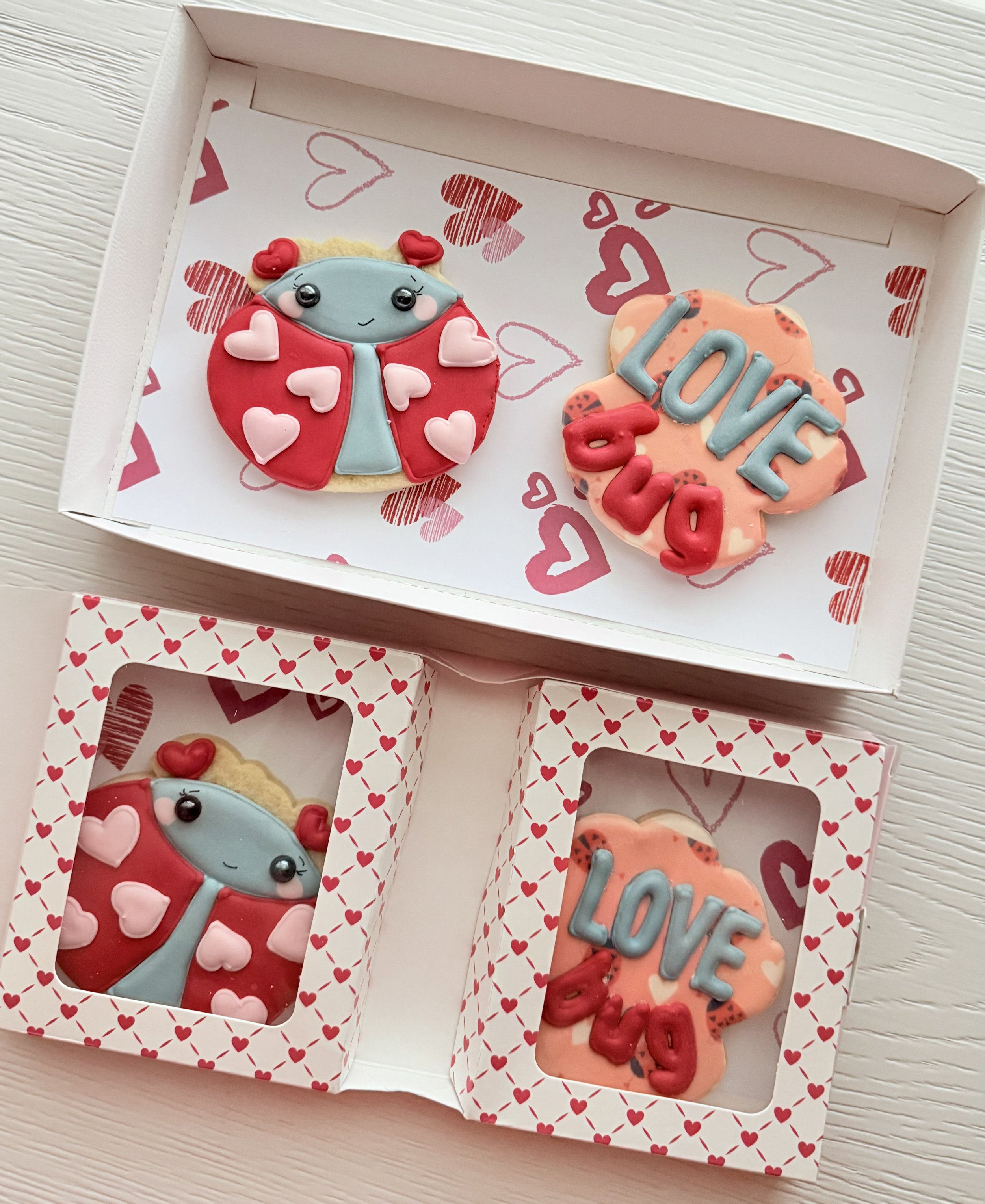 LOVE Bug Valentine's Day Set