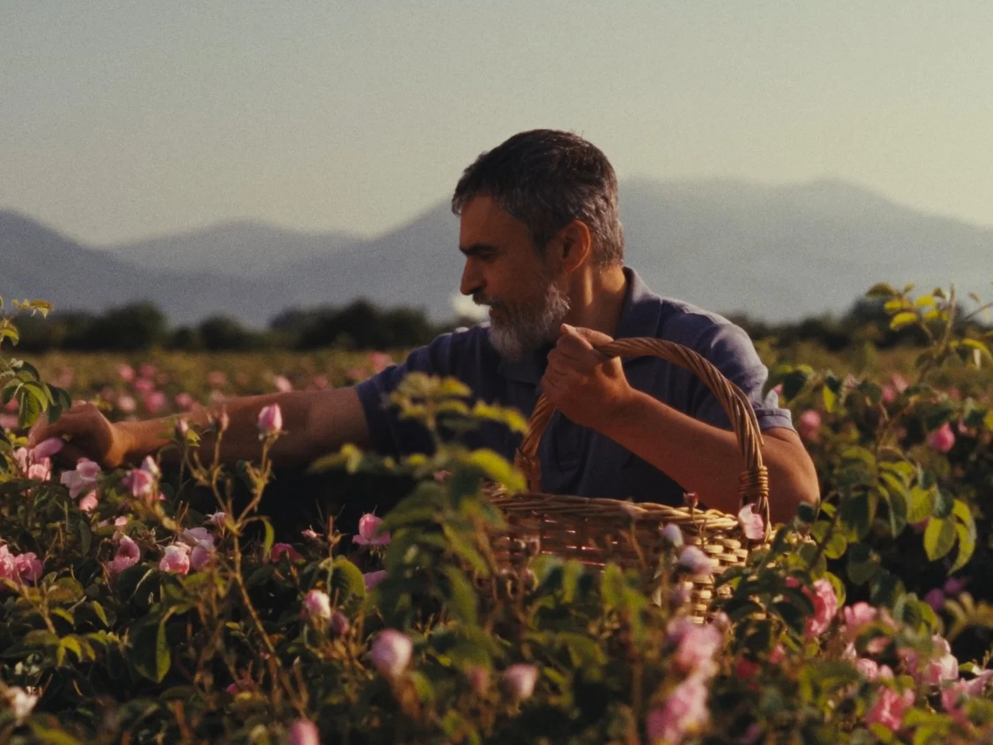 43 seq_01_00_59_09.jpg