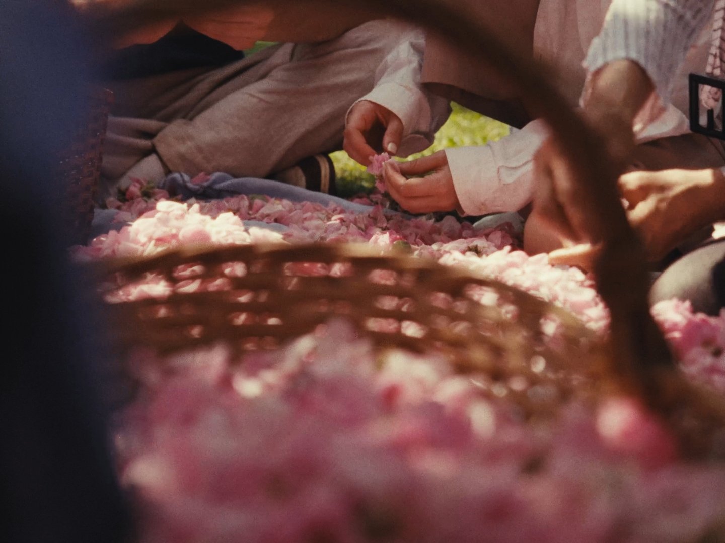 43 seq_01_01_04_00.jpg