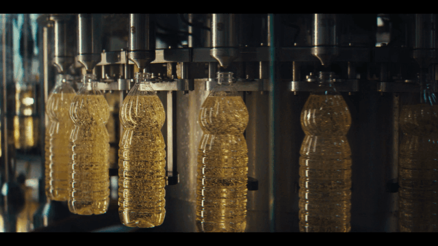 European Commision (2025)