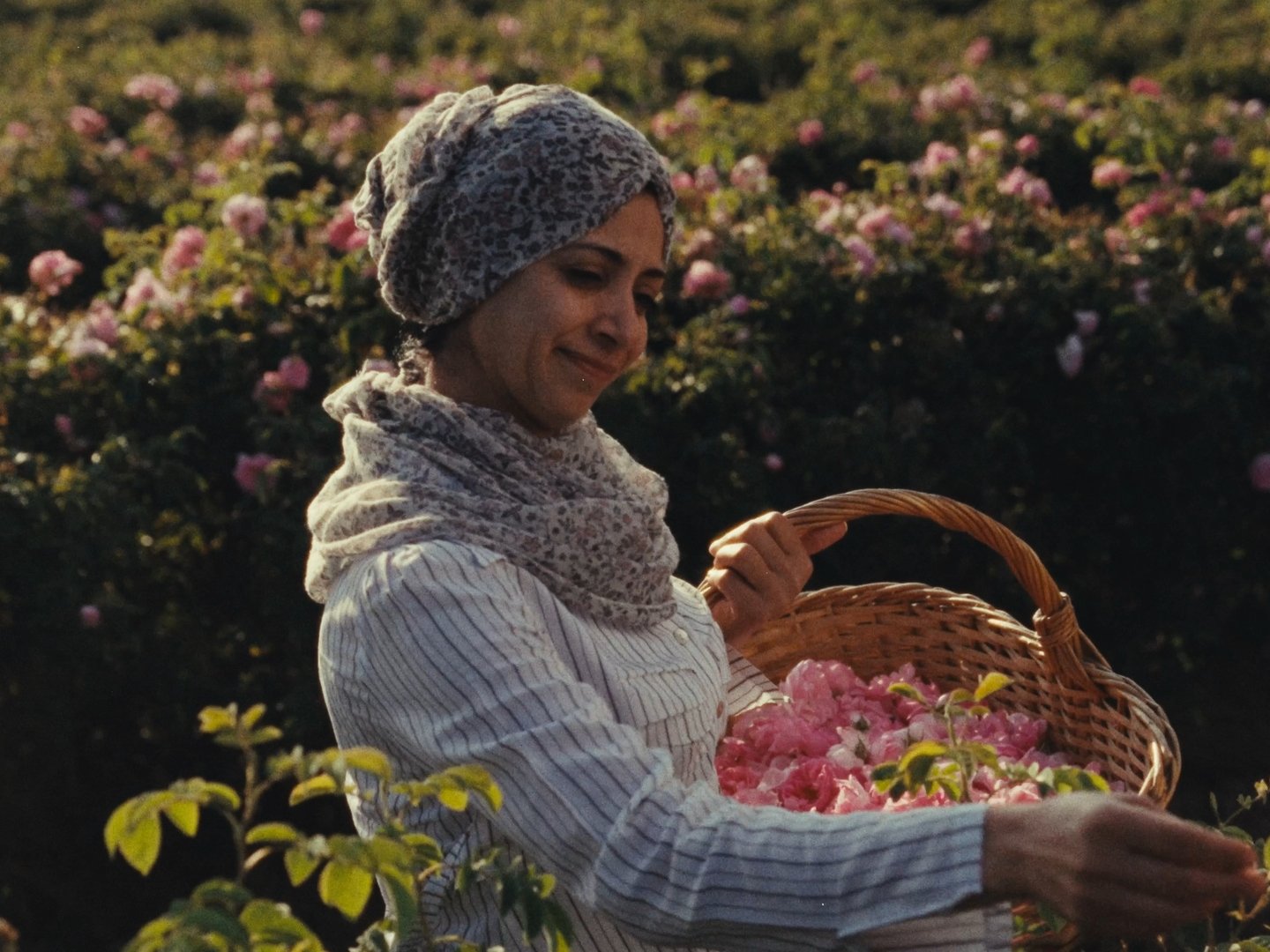 43 seq_01_00_50_09.jpg