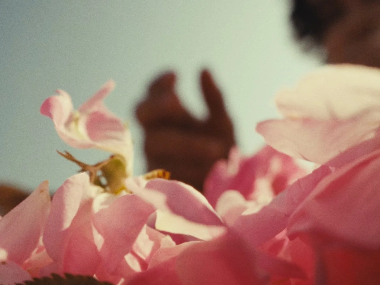 43 seq_01_01_08_22.jpg