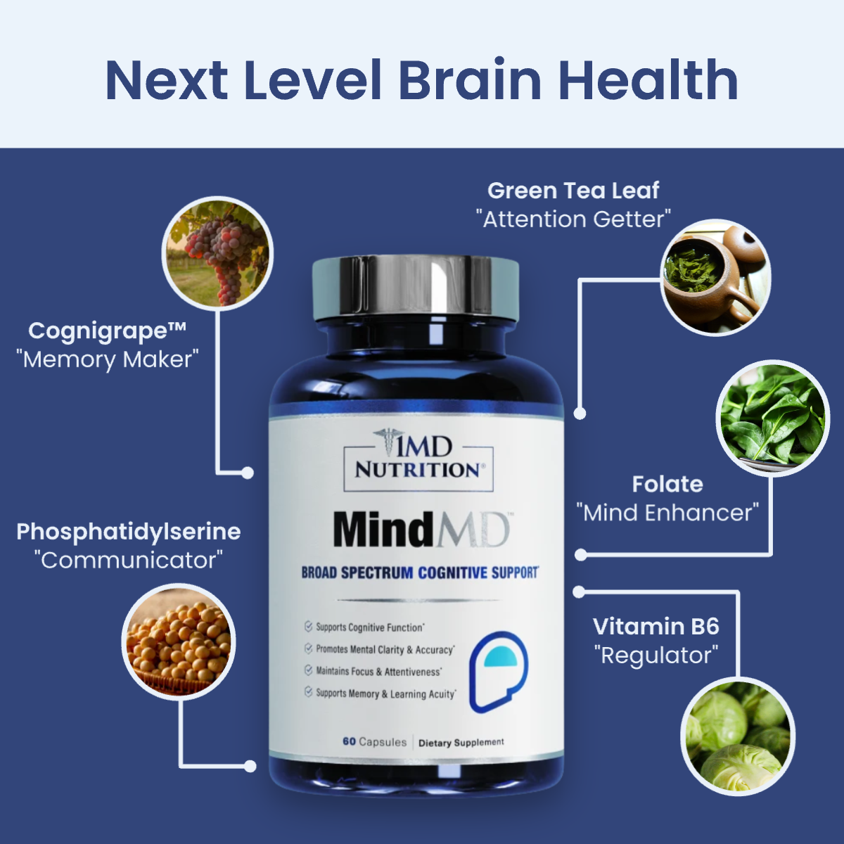 MindMD STATIC Ingredients Header Variation 1_1.png