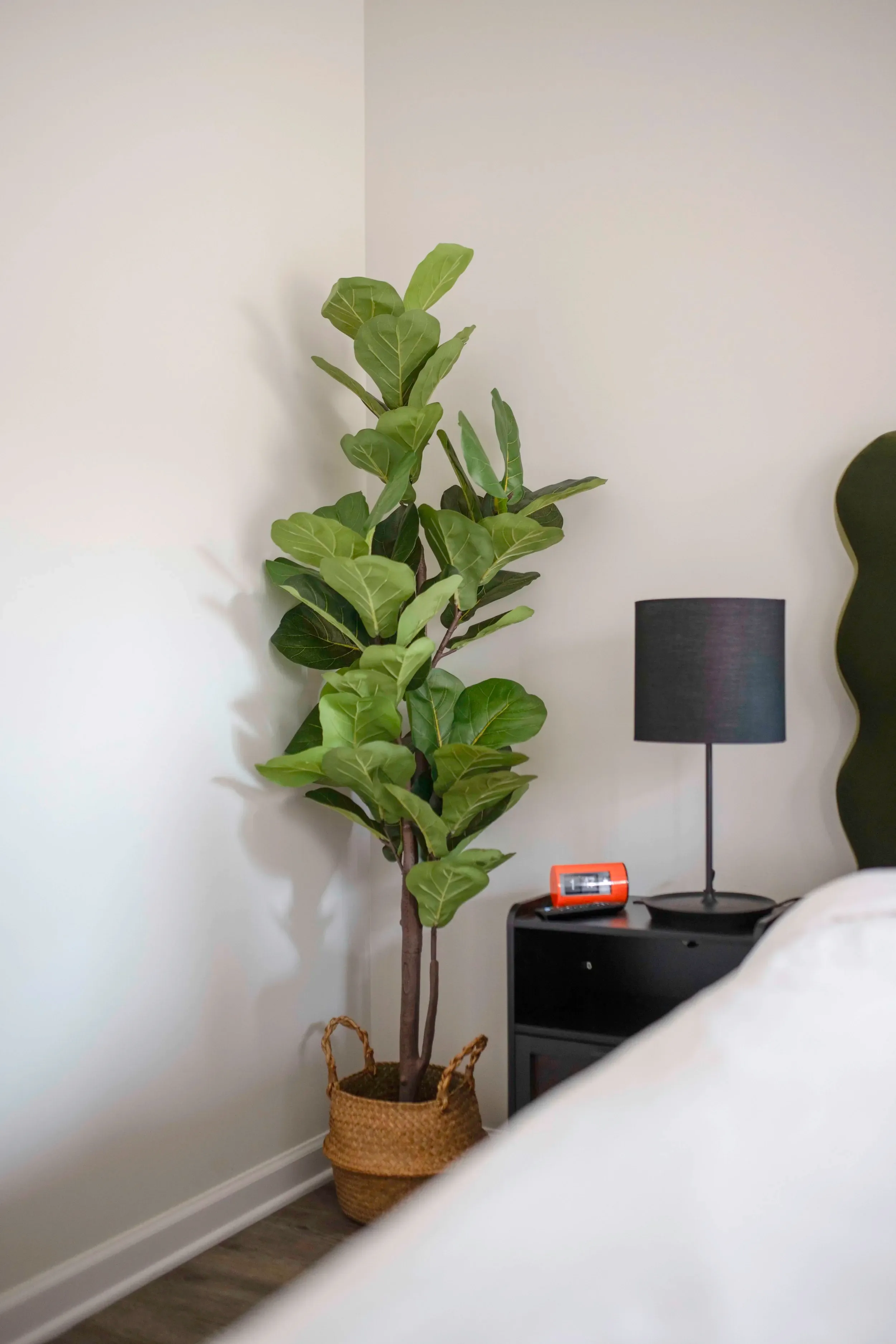 Ryan Palmer - Belmont - Img 30 - Compressed.webp