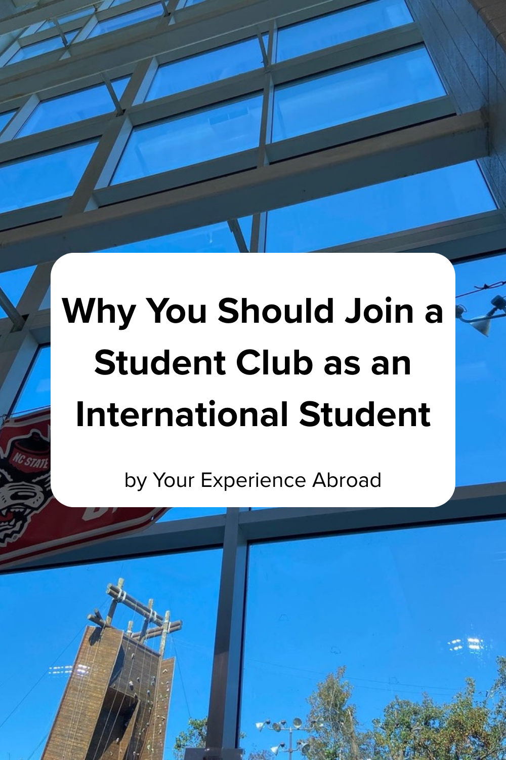Why You Should Join a Student Club as an International Student