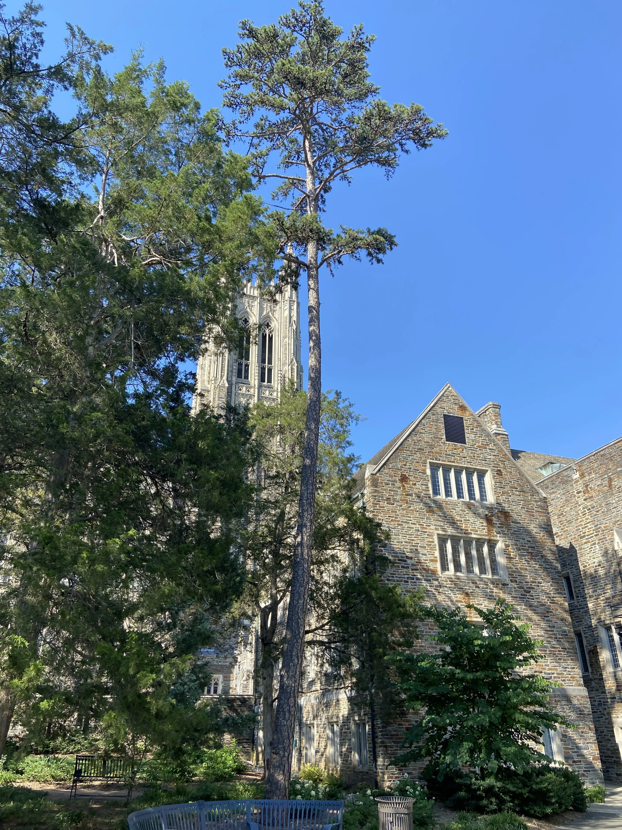 On the right are two high trees. The middle of the image is taken by a chapel and an older building made of stone. The sky is blue in the background