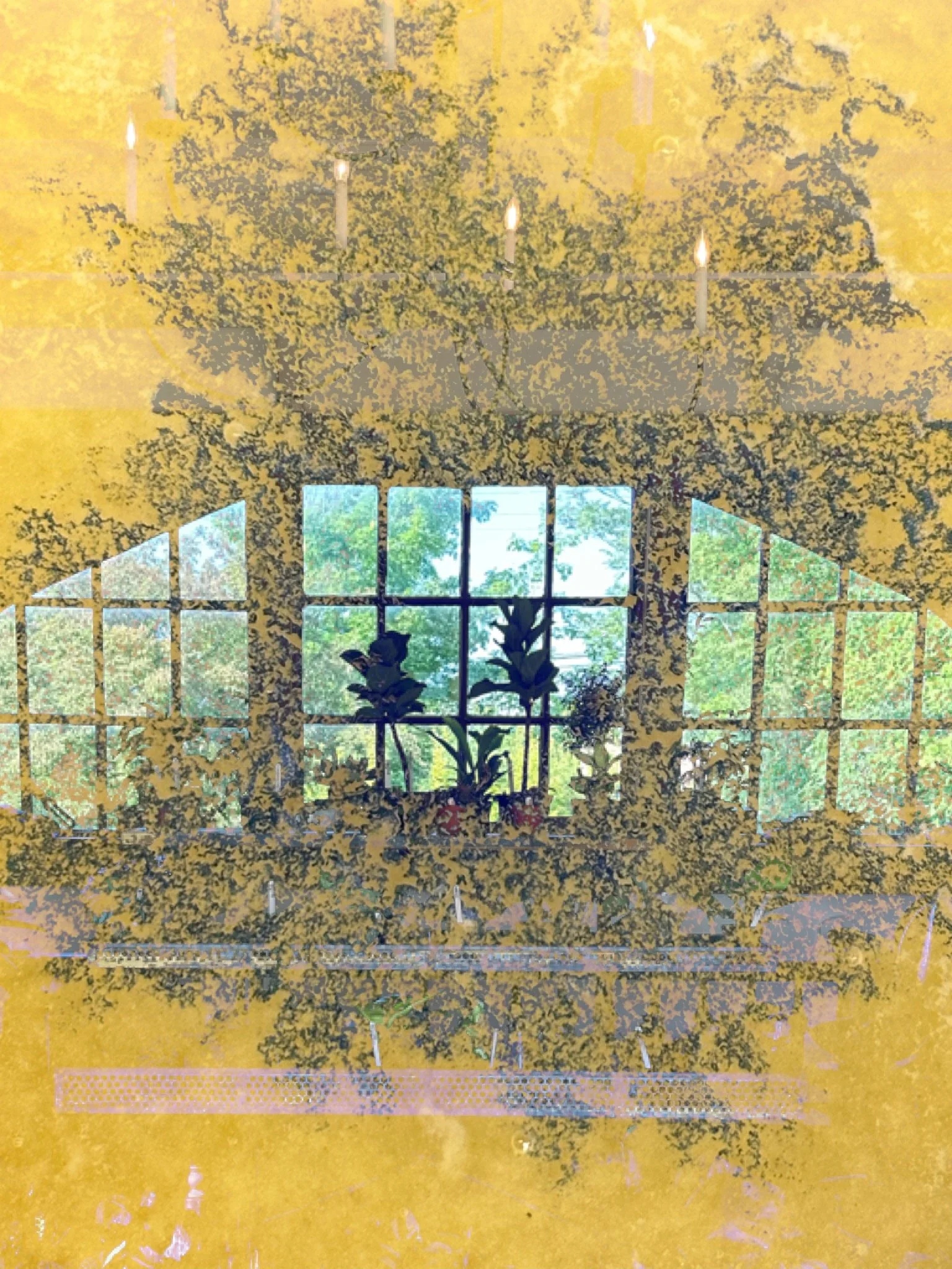 IMG_0818.jpeg