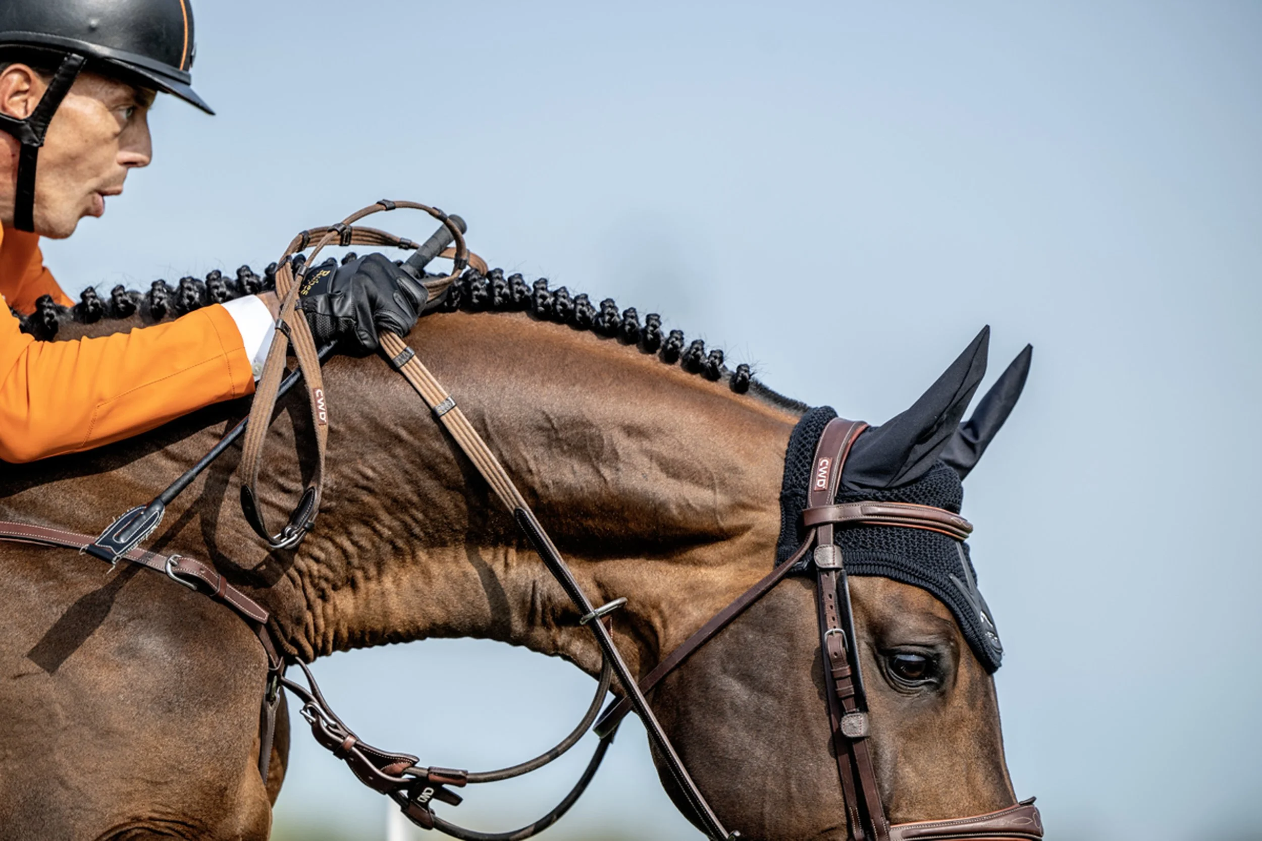 Nederländernas Harrie Smolders är rankad trea i världen, men i EM fick han och hästen Uricas v/d Kattevennen det inte alls det att fungera. Efter två omgångar på torsdagen låg ekipaget på 56:e plats.
