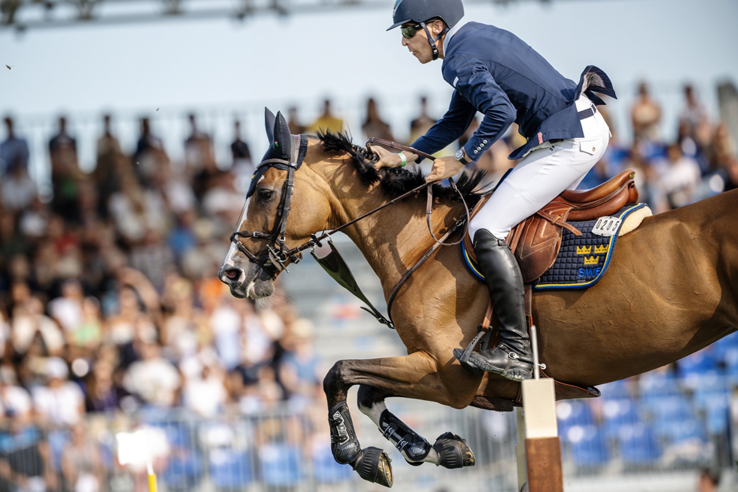 Tillsammans med valacken King Edward har Henrik von Eckermann vunnit såväl VM- som OS-guld. Men när han sent på onsdagseftermiddagen red in på EM-arenan Ippodromo San Siro var det inte tillsammans med kungen utan med kronprinsessan – Iliana. 