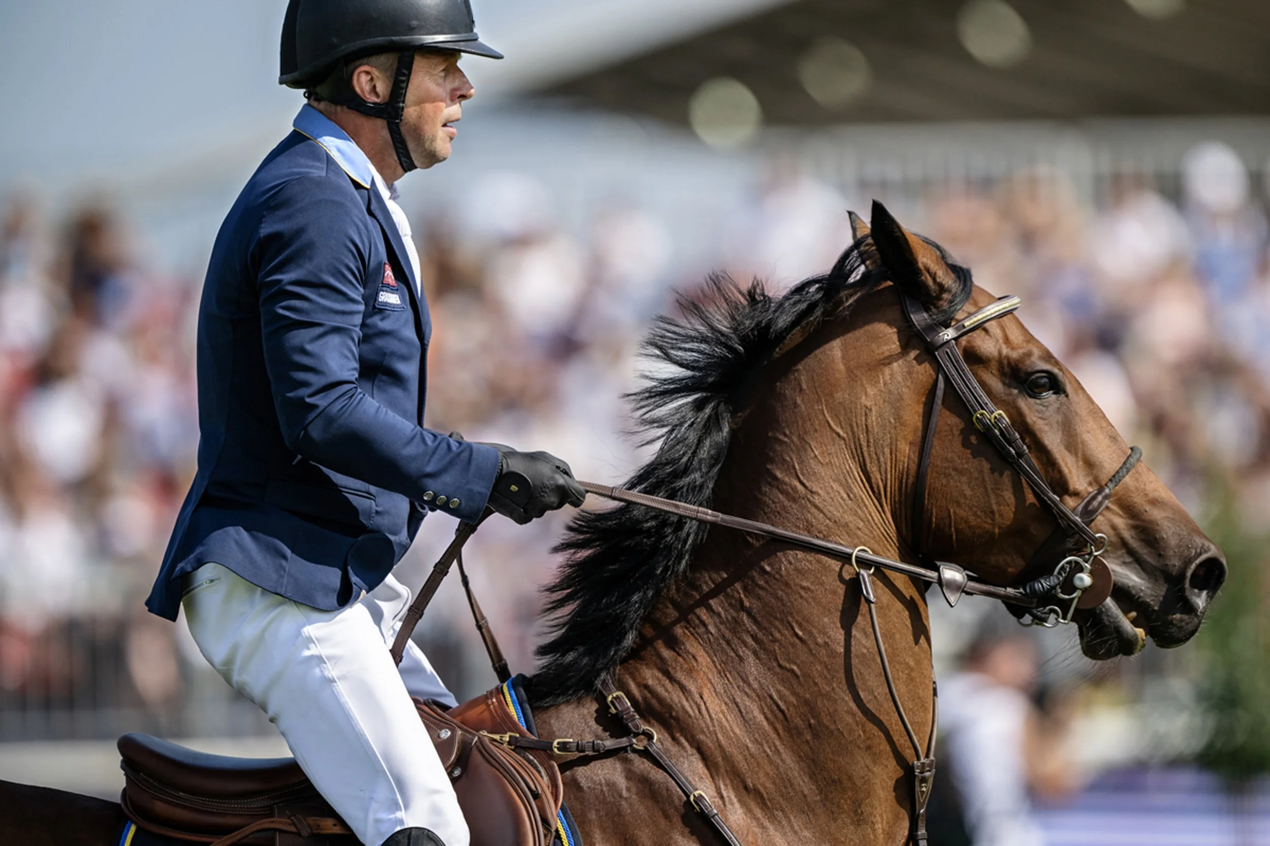 Det var Cosmo, som Jens Fredricsons EM-häst kallas, som han själv har utbildat som nästan tio år efter den första karriärvågen har tagit honom tillbaka till den internationella scenen. För Jens Fredricsons ögonsten Cosmo väntar nu en månads vila. "Ha