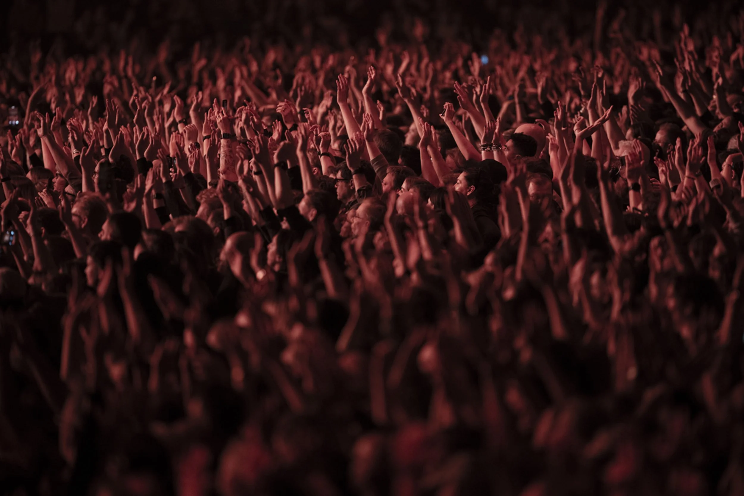 kent-torsdag_PF-4 kopiera.jpg