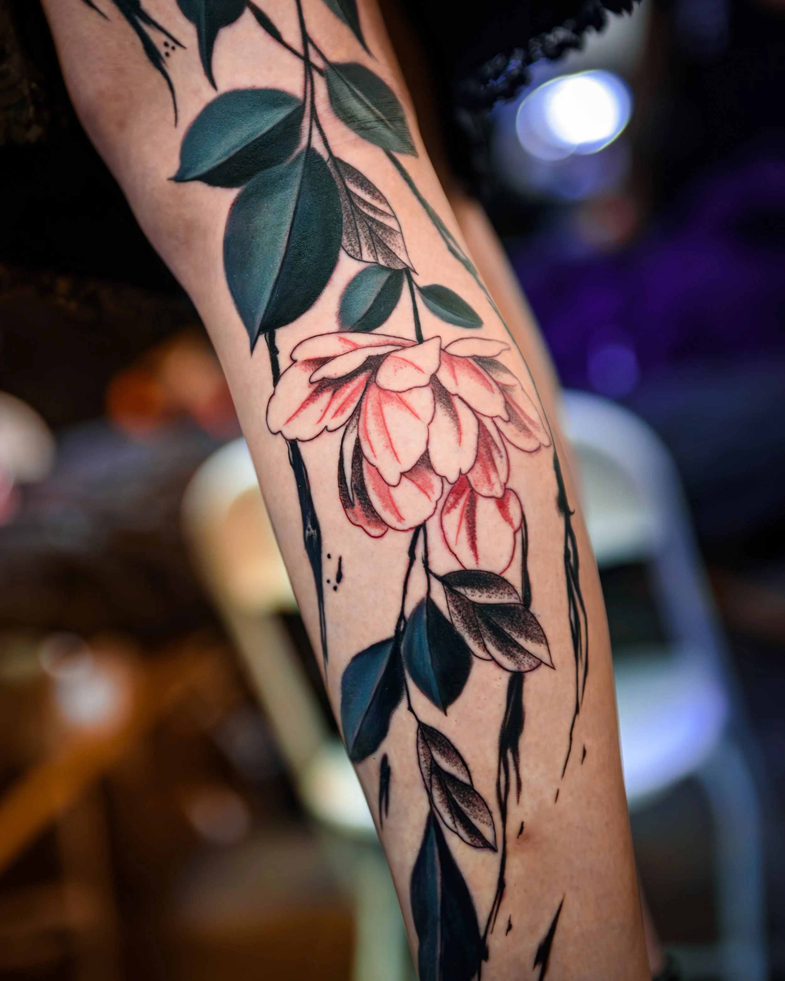 DSC_7959-Enhanced-NR.jpg