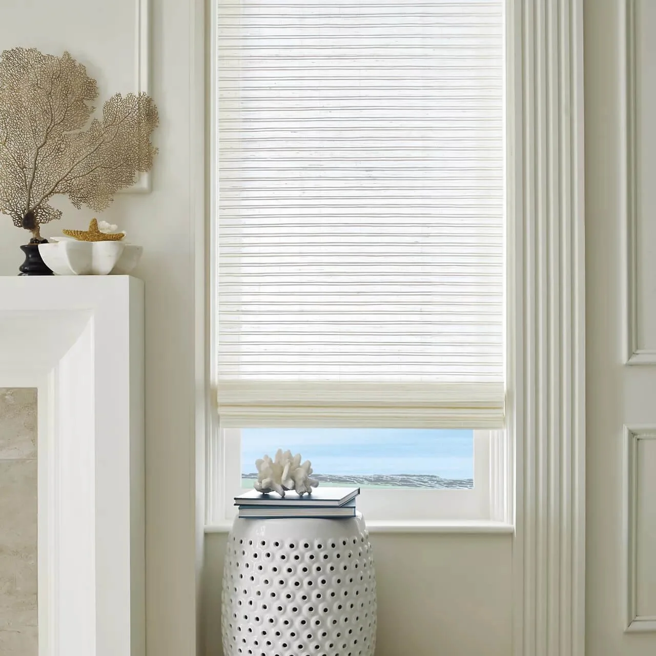Window Treatments