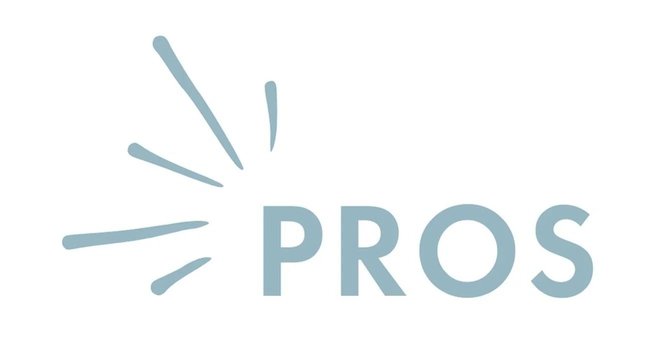 "Pros" graphic for the pros of ready made window treatments