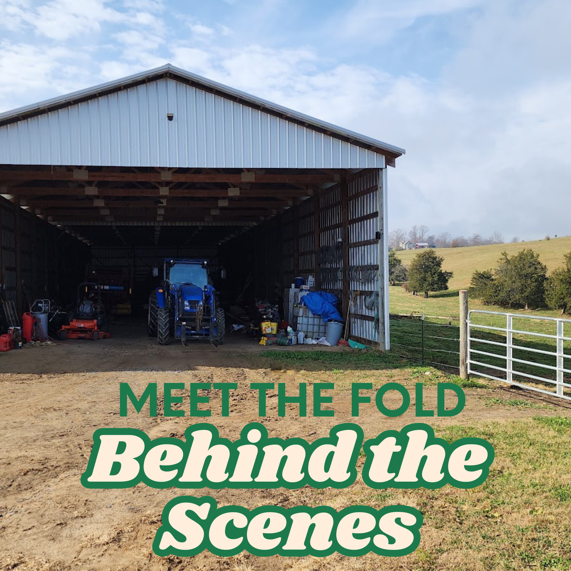 Meet the Fold: Behind-the-Scenes Farm Tour