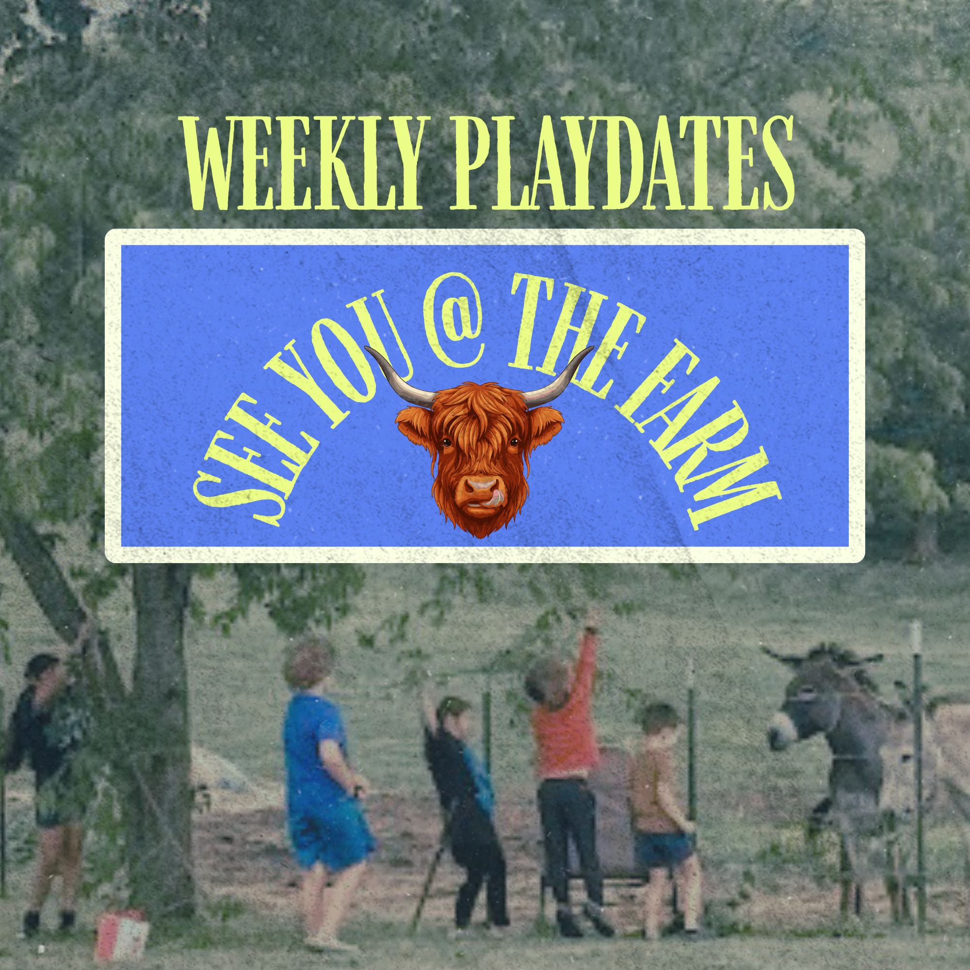 WEEKLY PLAYDATES