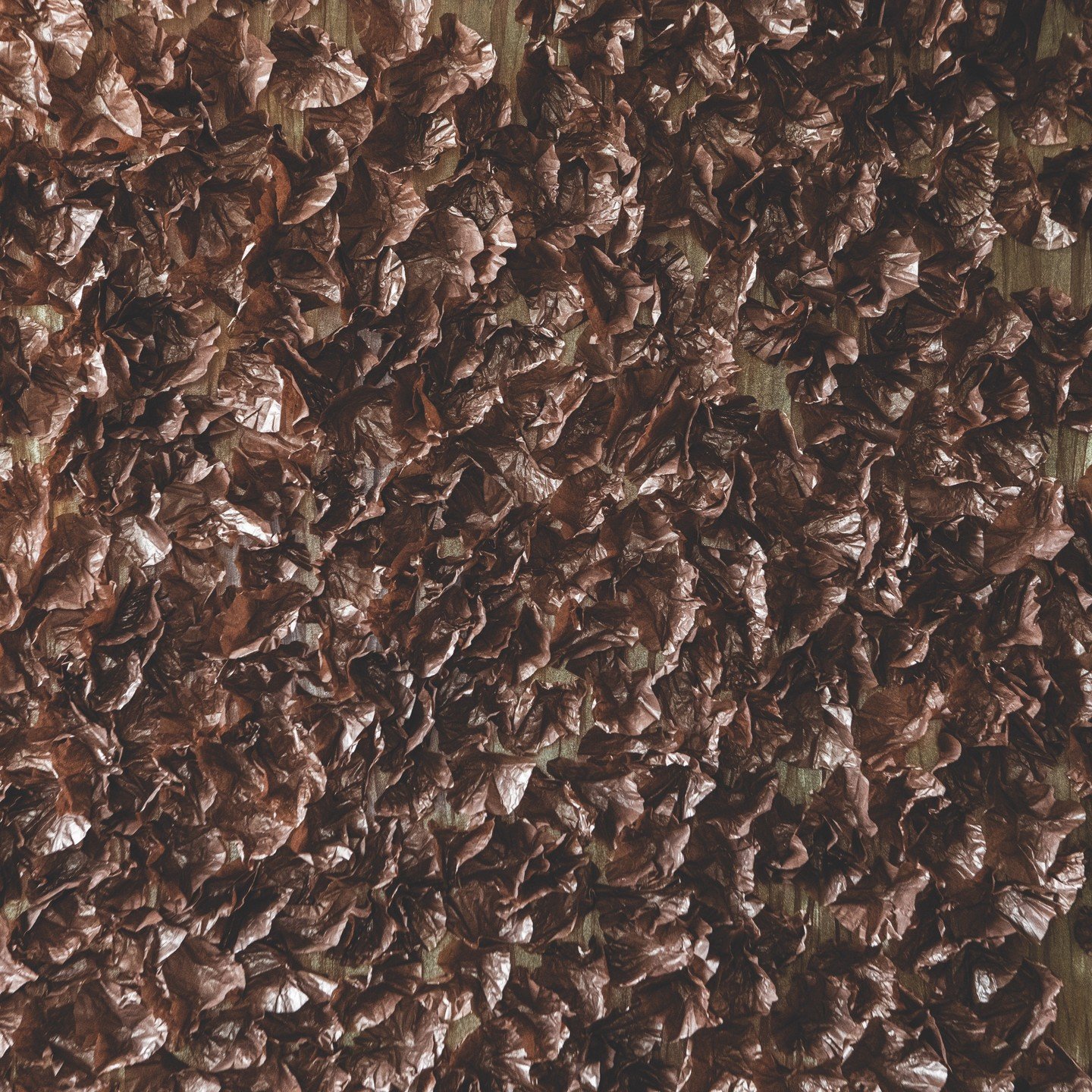 one person exhibit opening at Core Gallery, September 7, 2023...6-8pm Art Walk. exhibit runs August 30-September 30, 2023. showing at the same time is Kate Harkin.