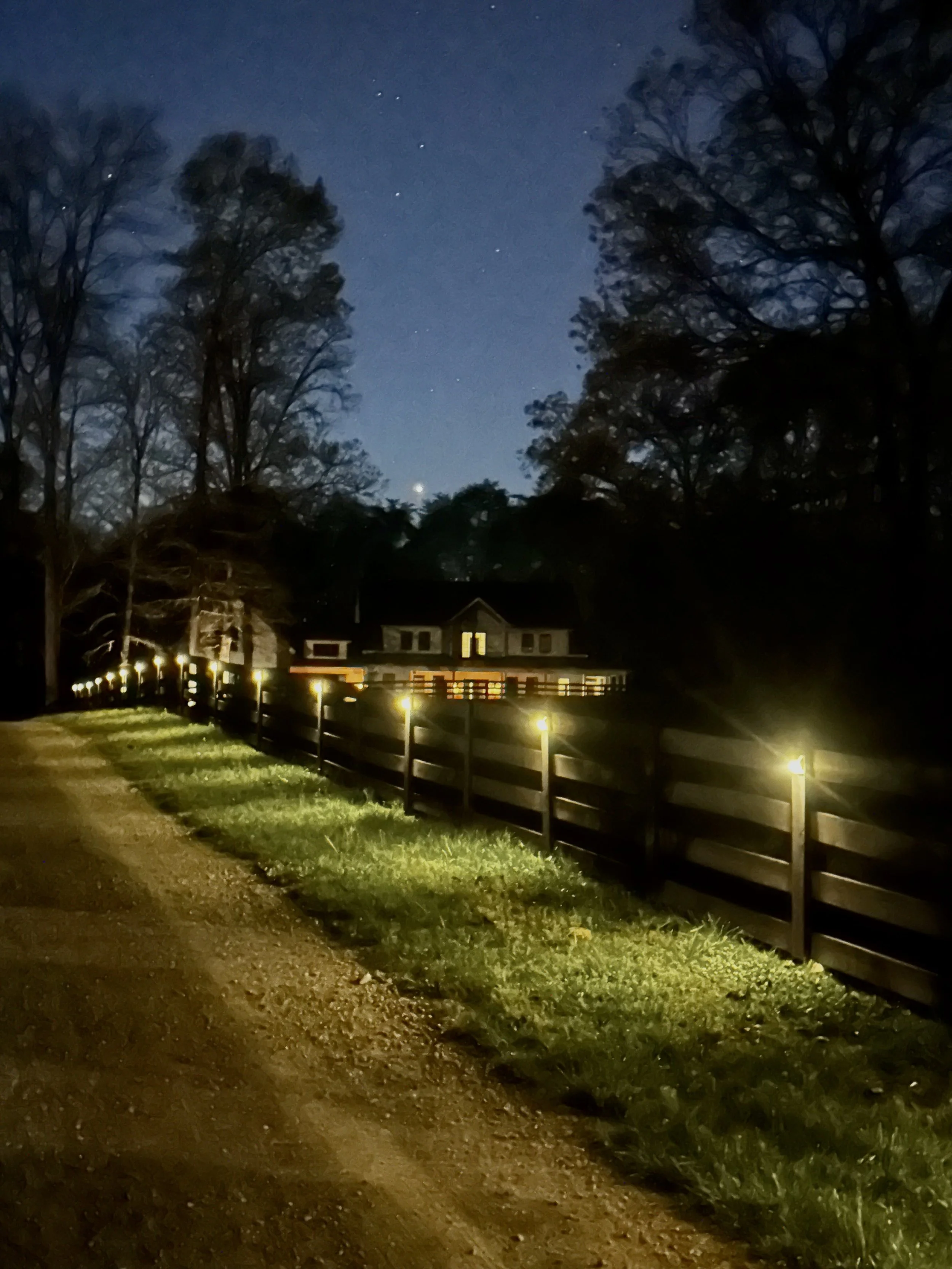 Nighttime scene of a house with lit windows, tall trees, a fenced yard, and a starry sky.