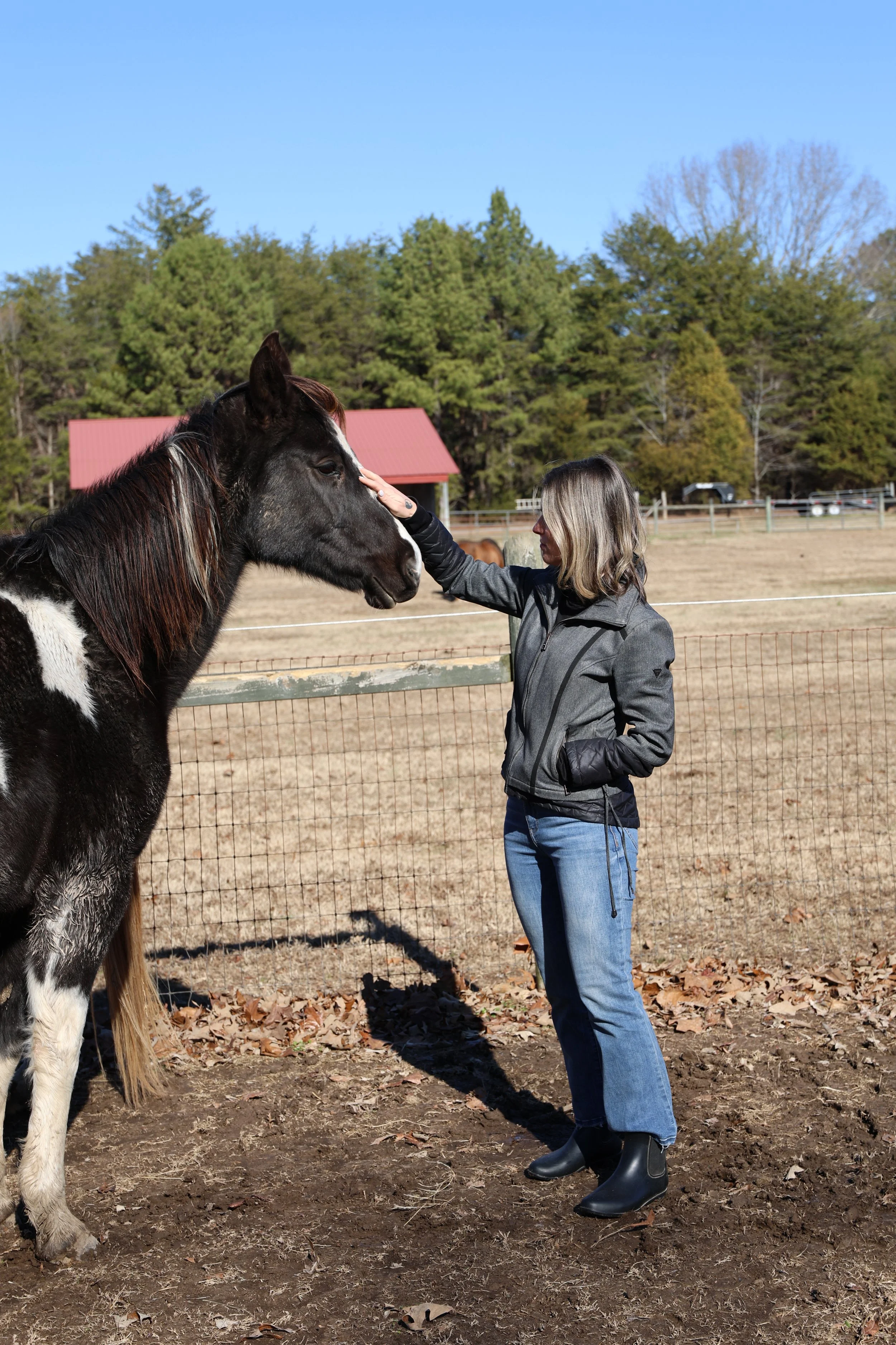 Things You Should Know About Rest