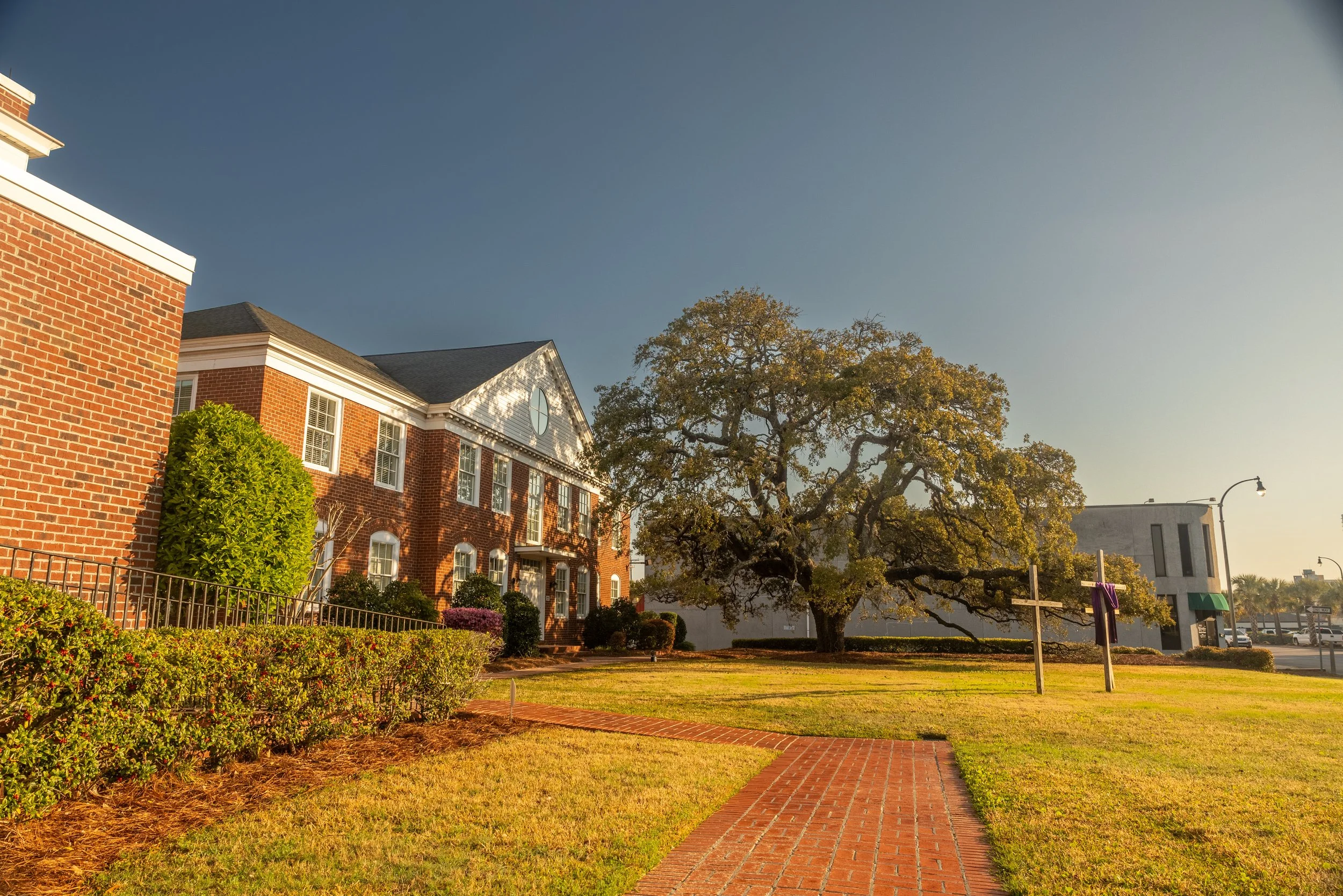 _66A9809-HDR.jpg