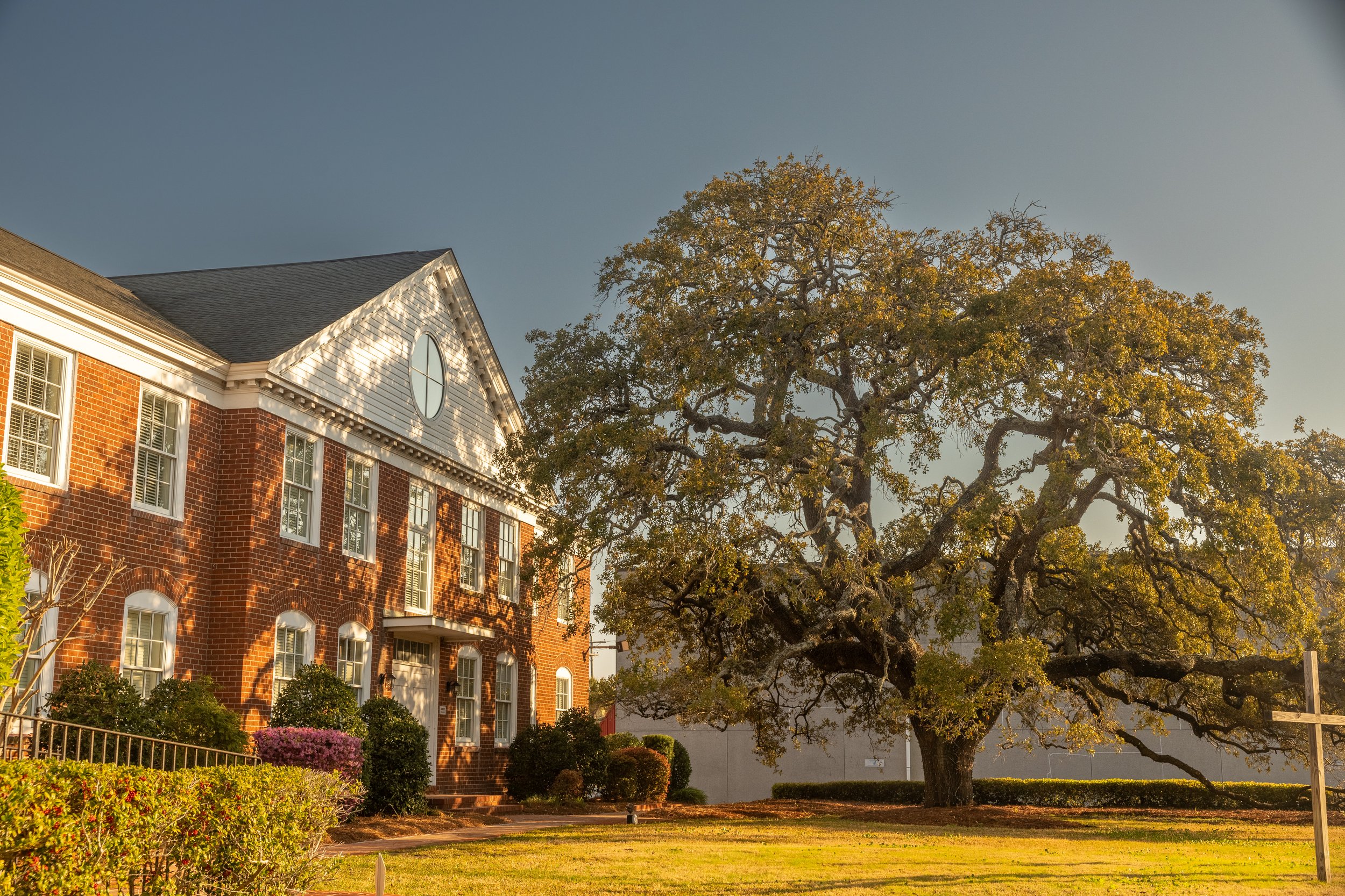 _66A9806-HDR.jpg