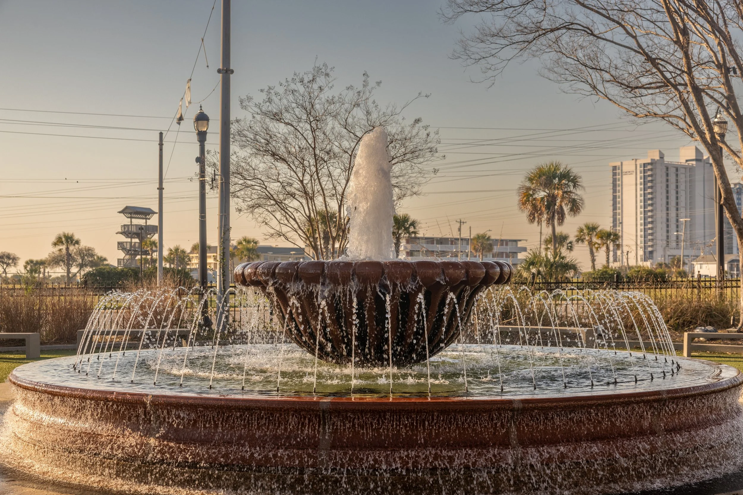 _66A9836-HDR.jpg