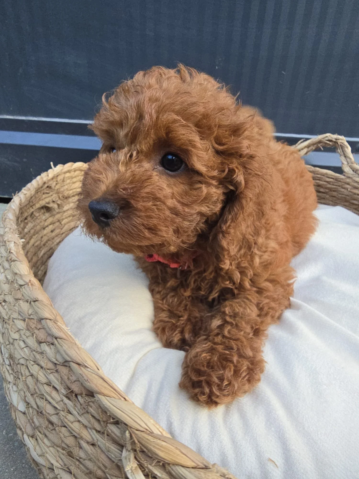 5758.jpg