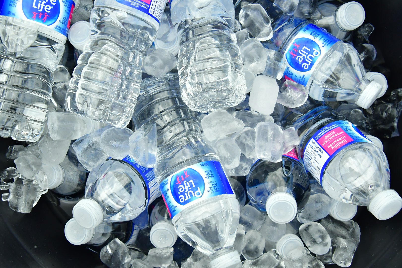 Plastic water bottles labeled 'Pure Life' on ice cubes.