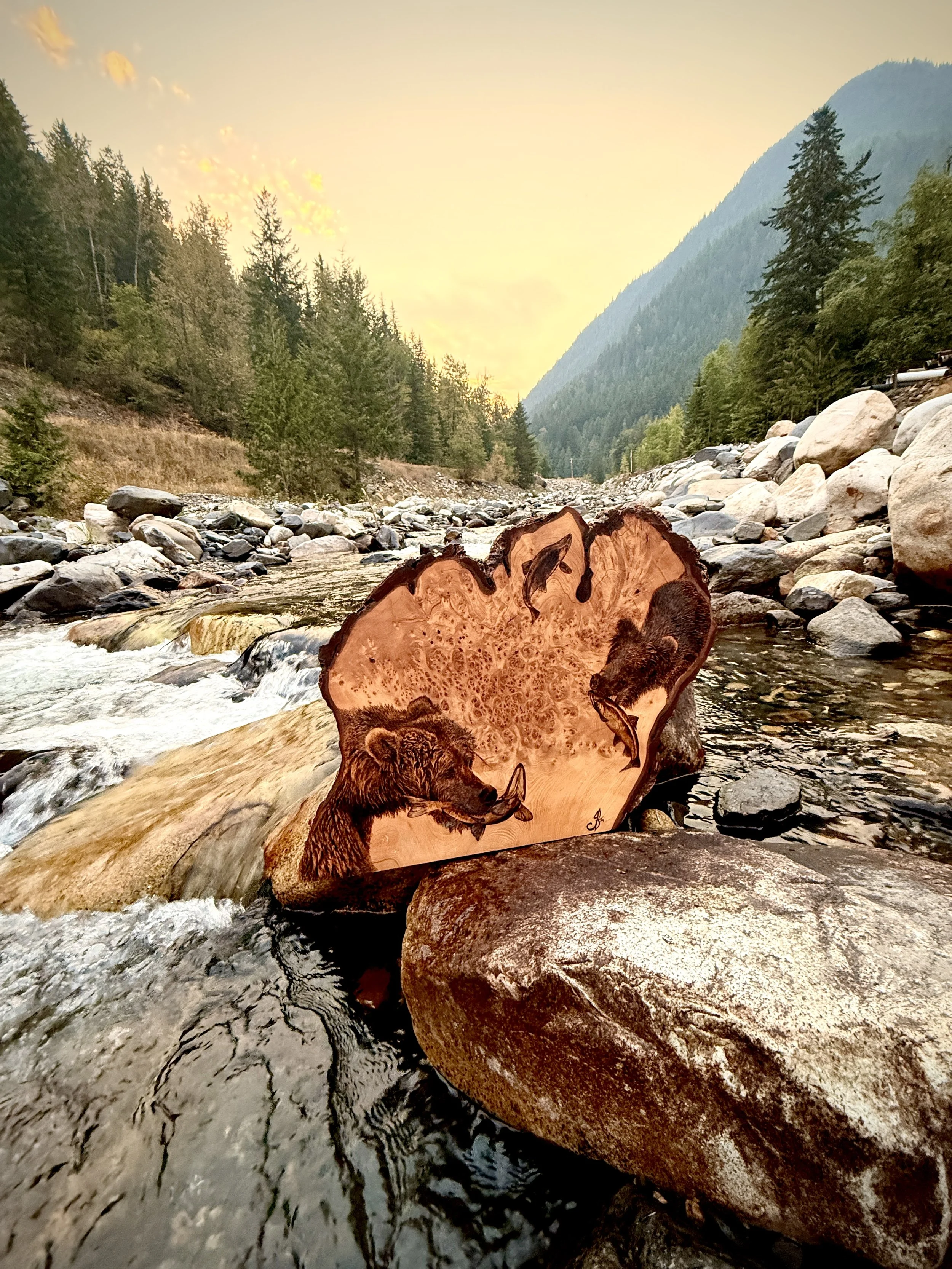 'Run Salmon, Run!' on the Salmon run