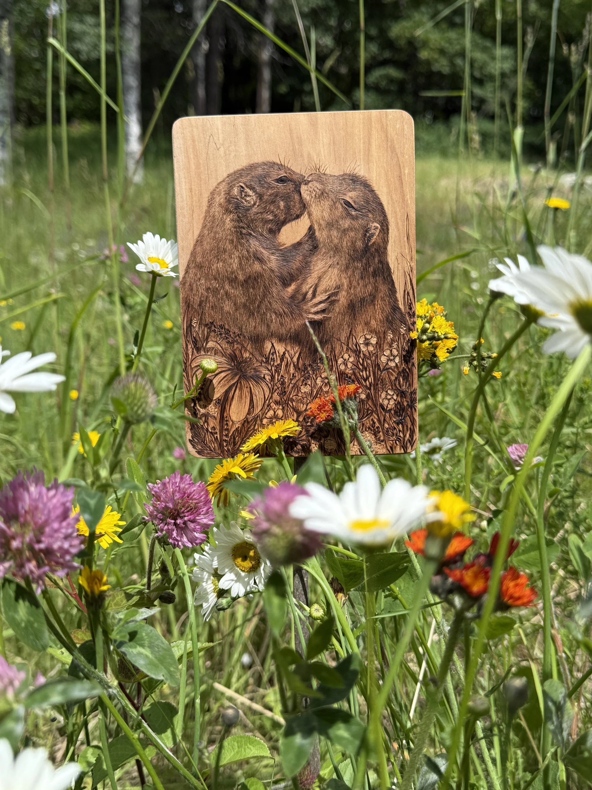 'Gopher it' among the wildflowers