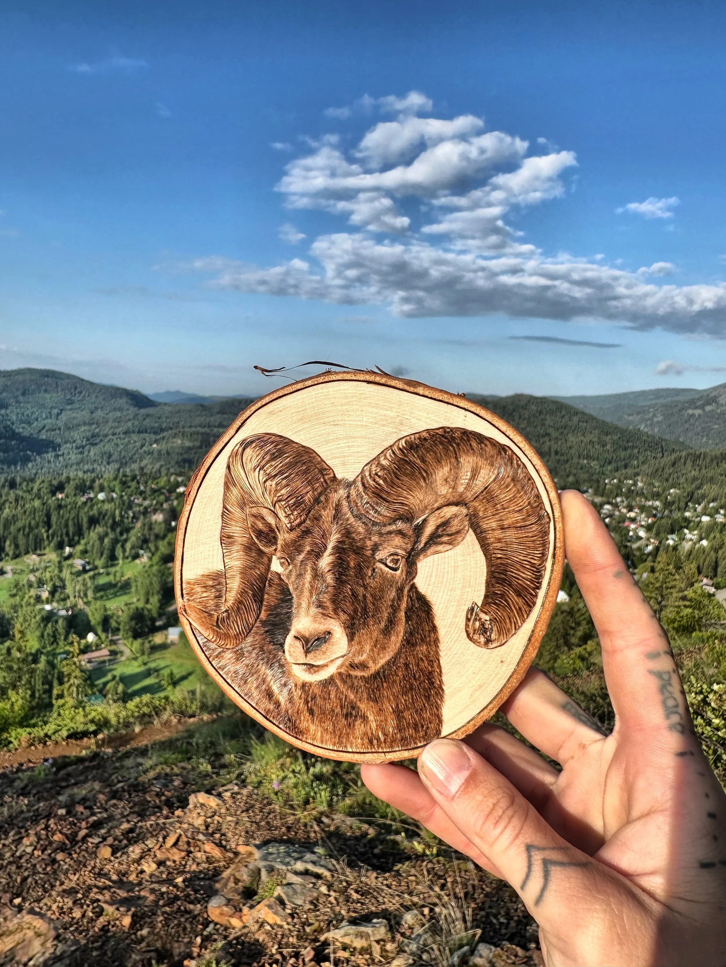 'Ram it' with Rossland in the background