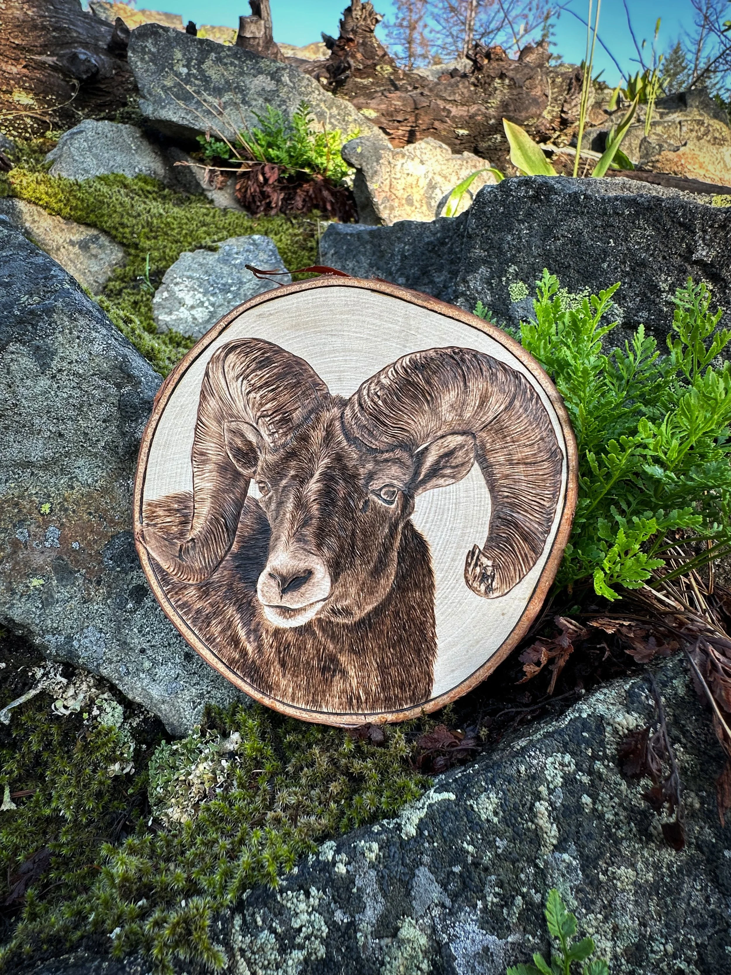 'Ram it' on the bluffs 