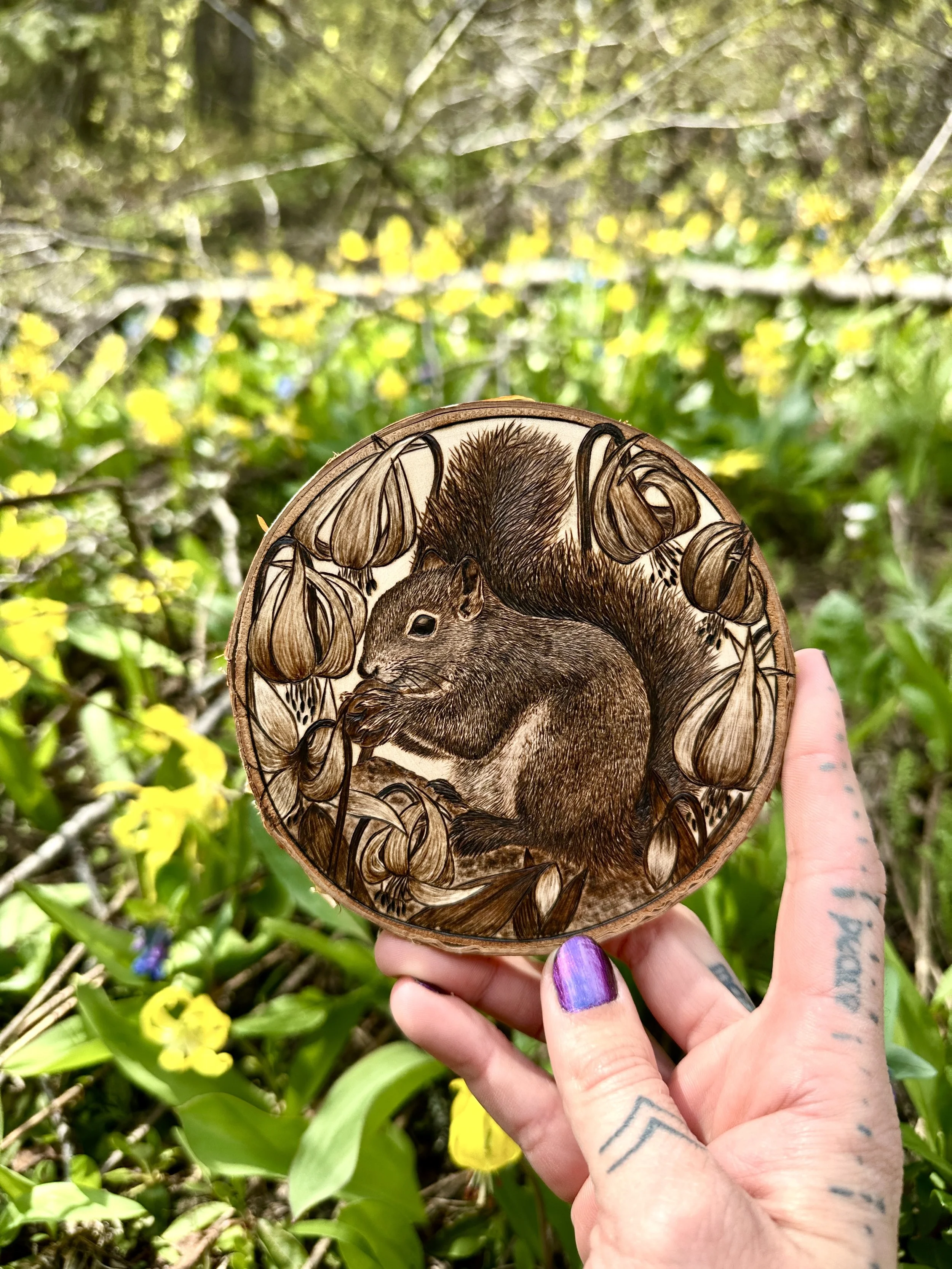 'Scrat' among the Glacier lilies 