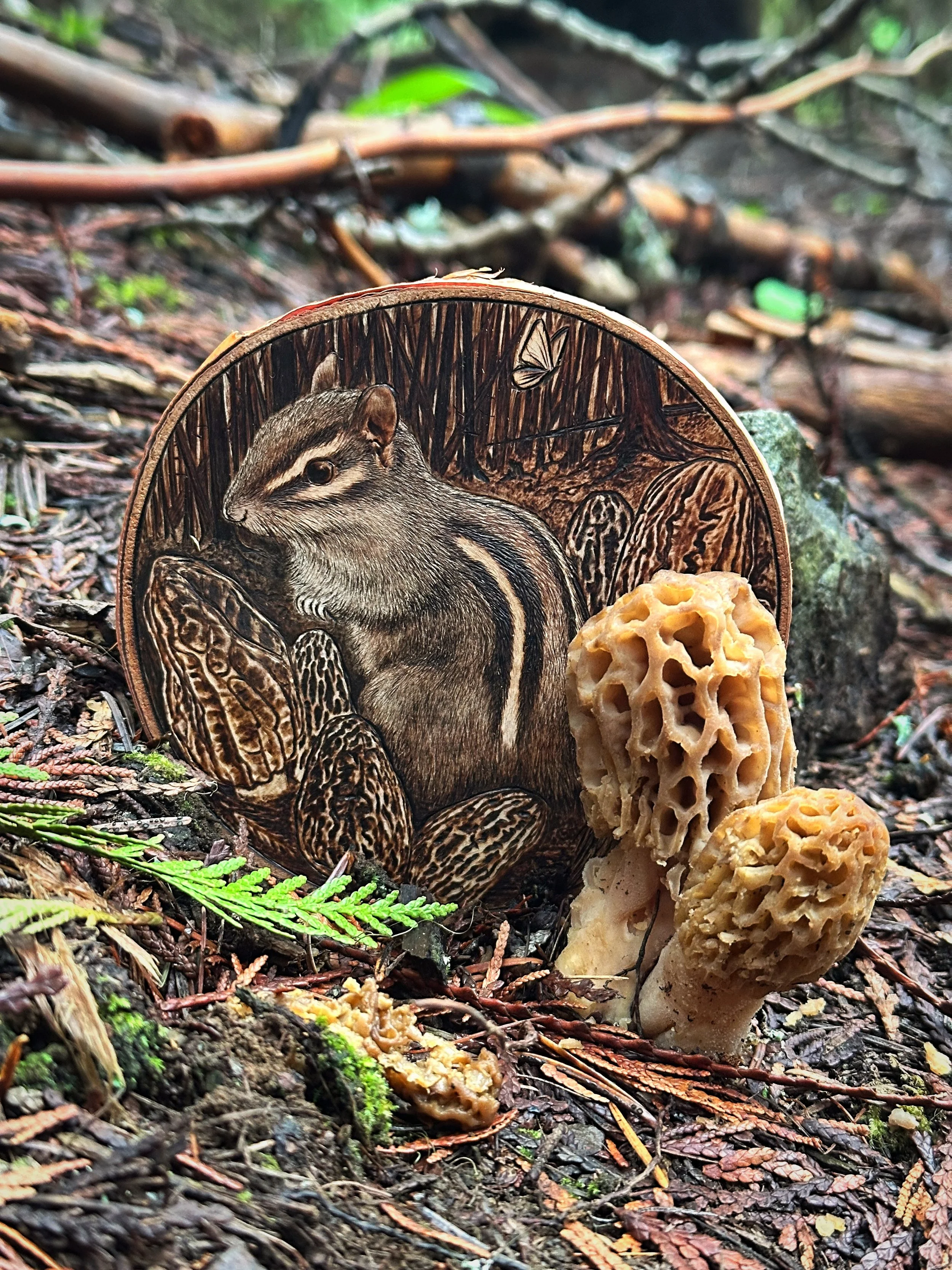 chipmunkfire9.jpg