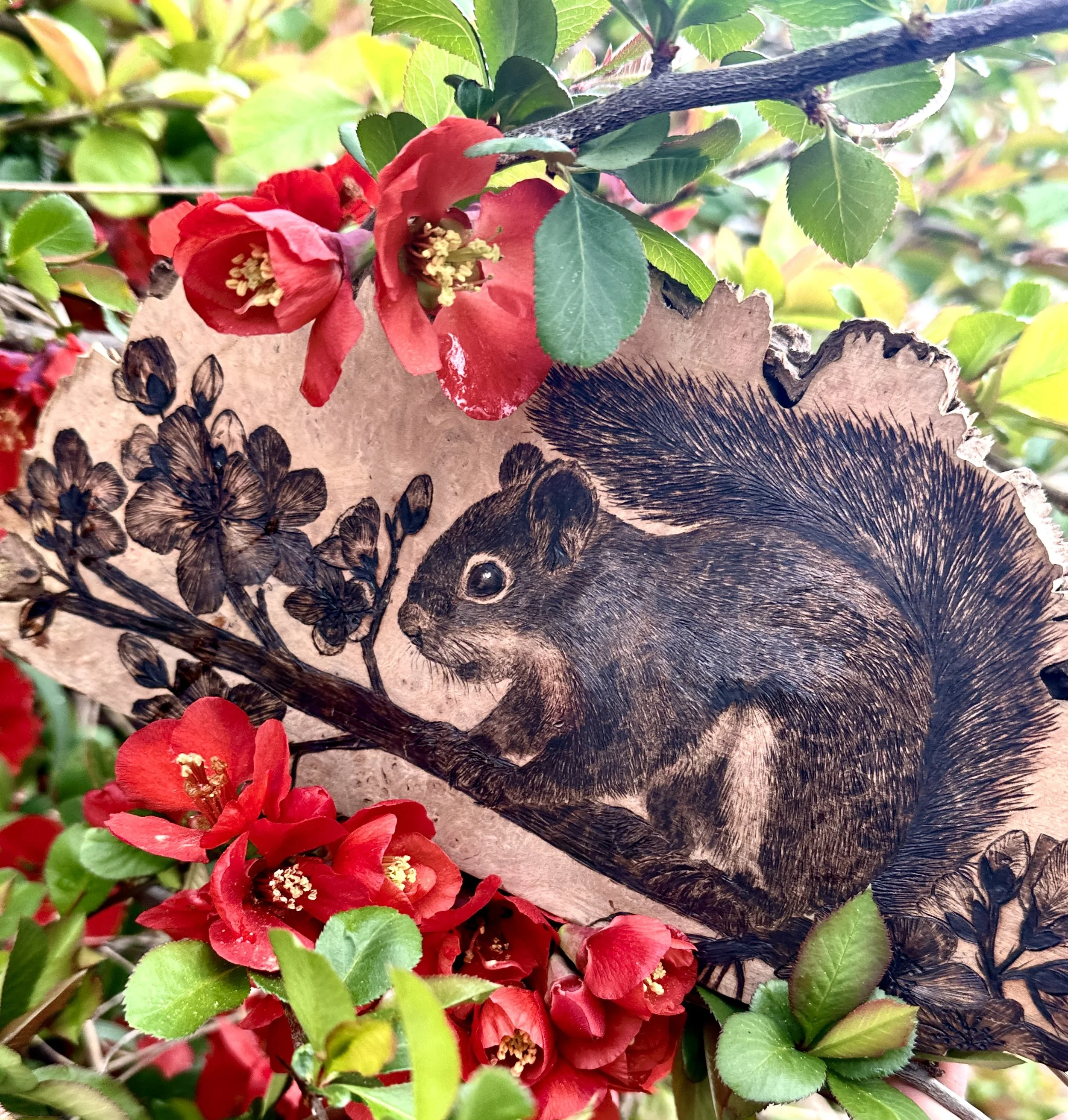 'Branch Manager' in some quince