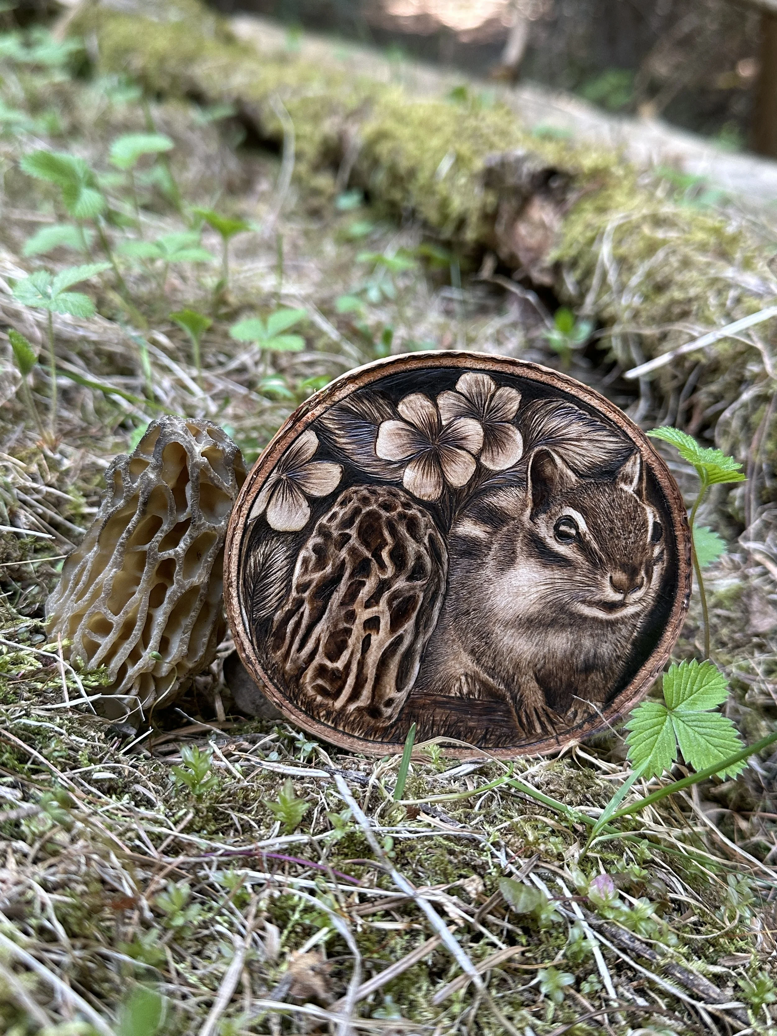 'Springtails-Violet' next to the very morel in which it was designed 