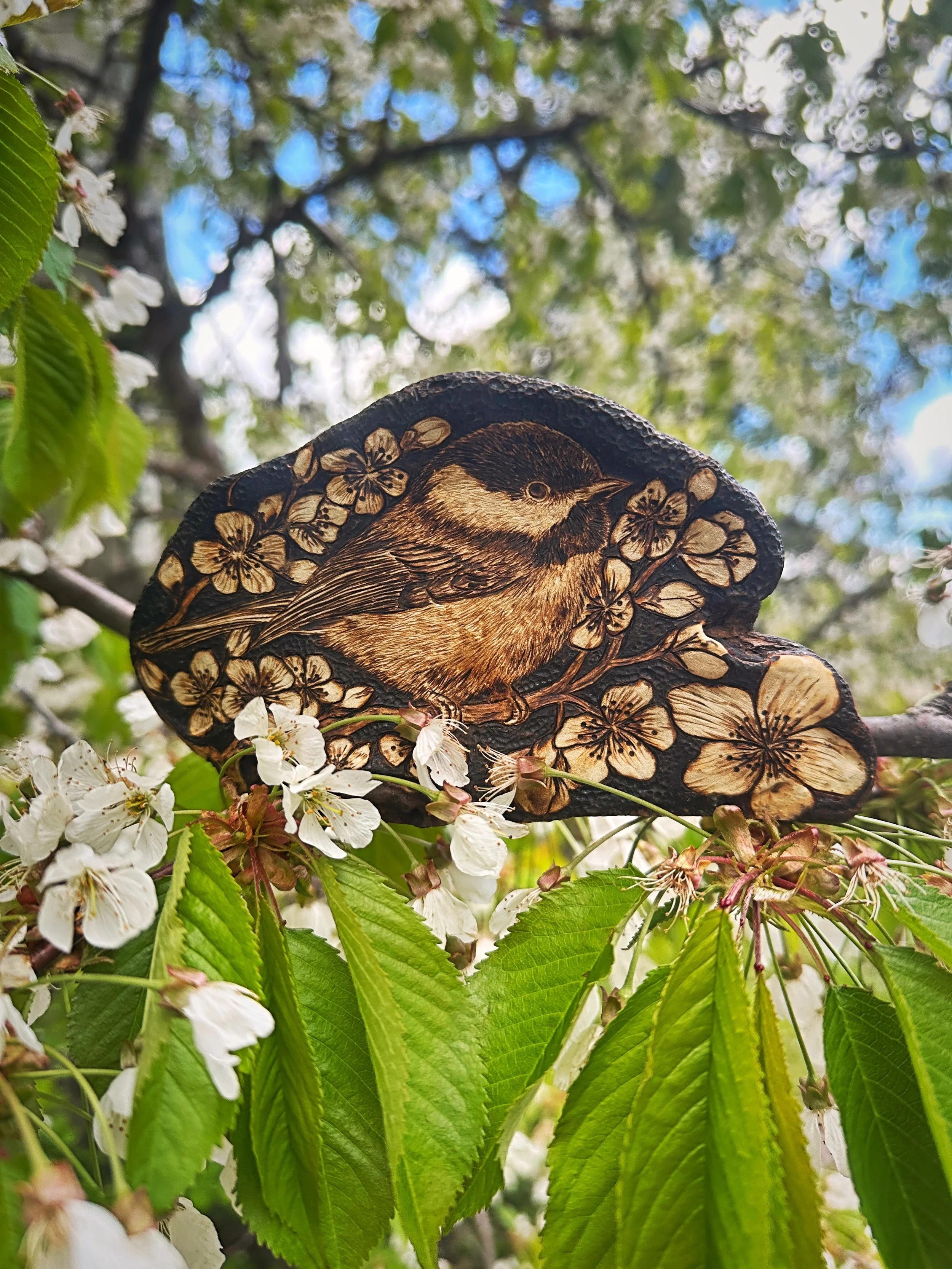 Facetune_04-06-2025-11-18-11.jpg