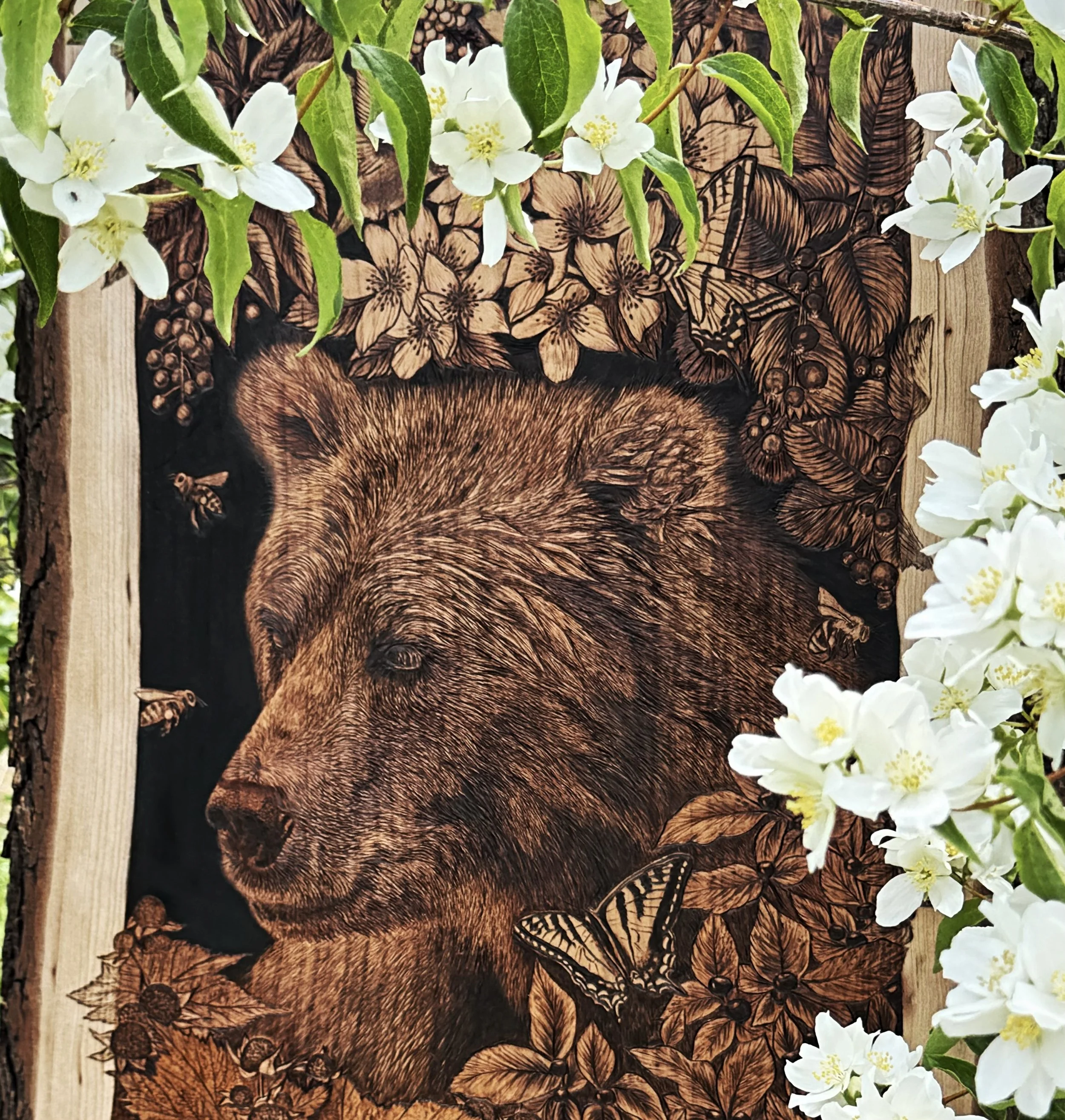'Beary Season' and Lewis Mock Orange Blossoms